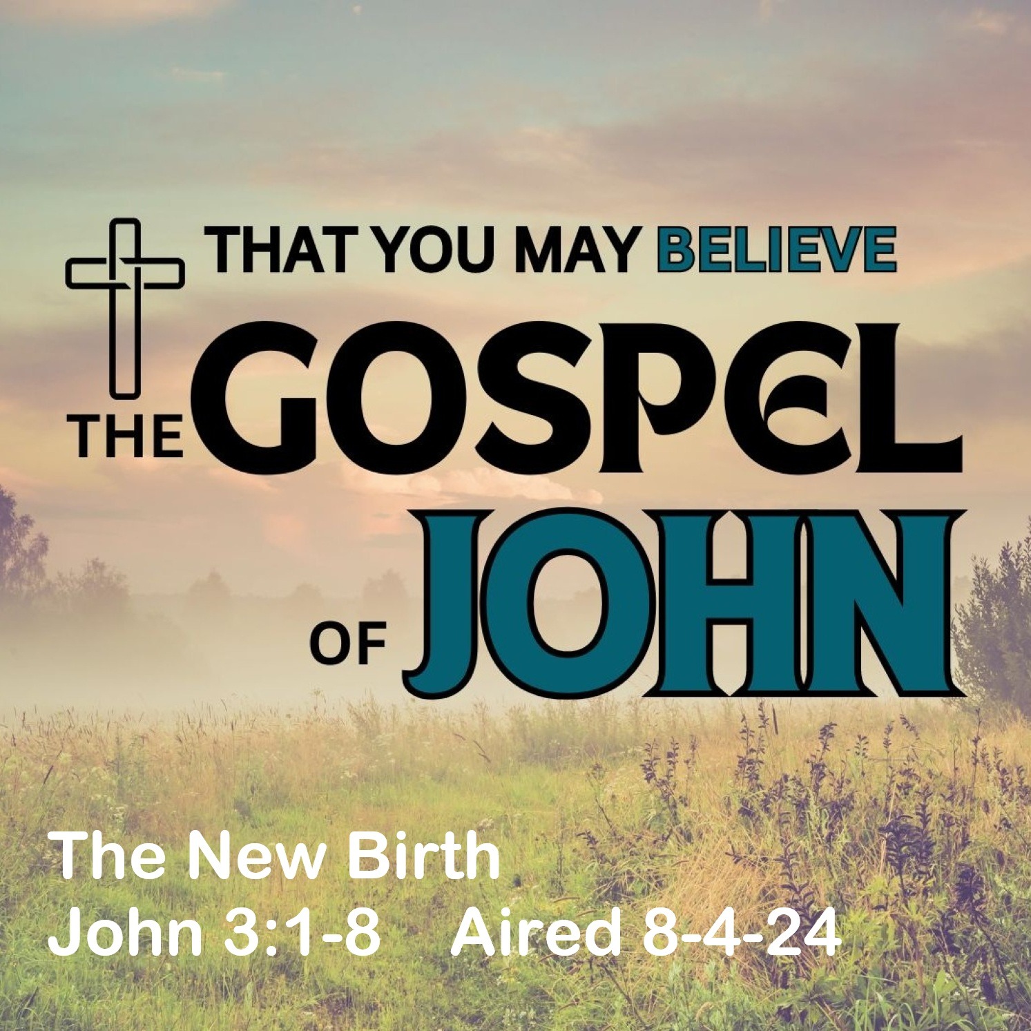 2024.08.04  The New Birth - John 3:1-8 episode artwork