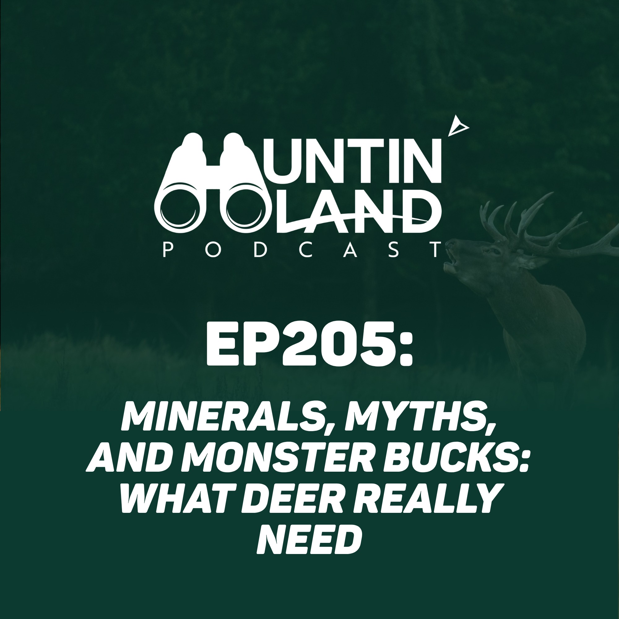 Minerals, Myths, and Monster Bucks: What Deer Really Need