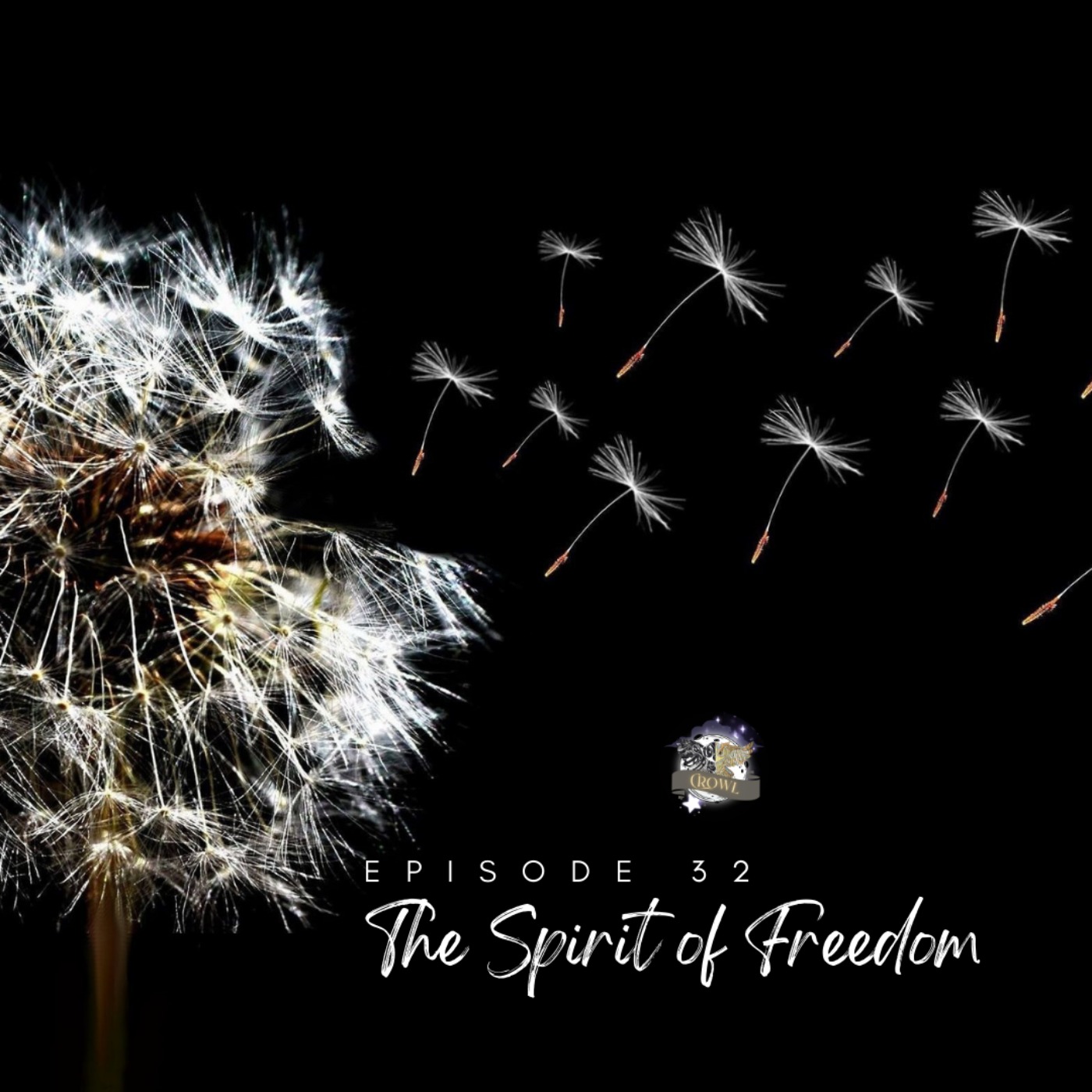 Episode 32: The Spirit of Freedom: Embracing Your Inner Independence episode artwork