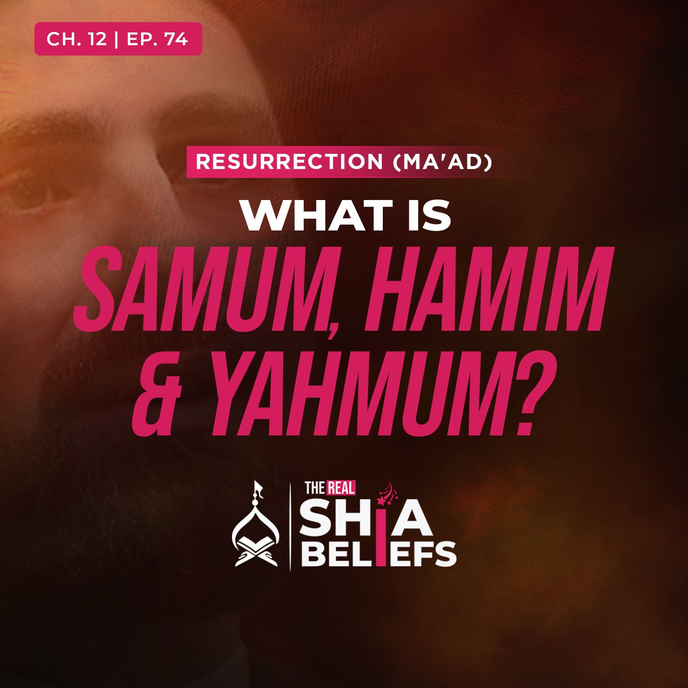 12/74: Verses on Hell in Surah Qaf, Surah Rahman & Surah Waqi'ah | The Real Shia Beliefs