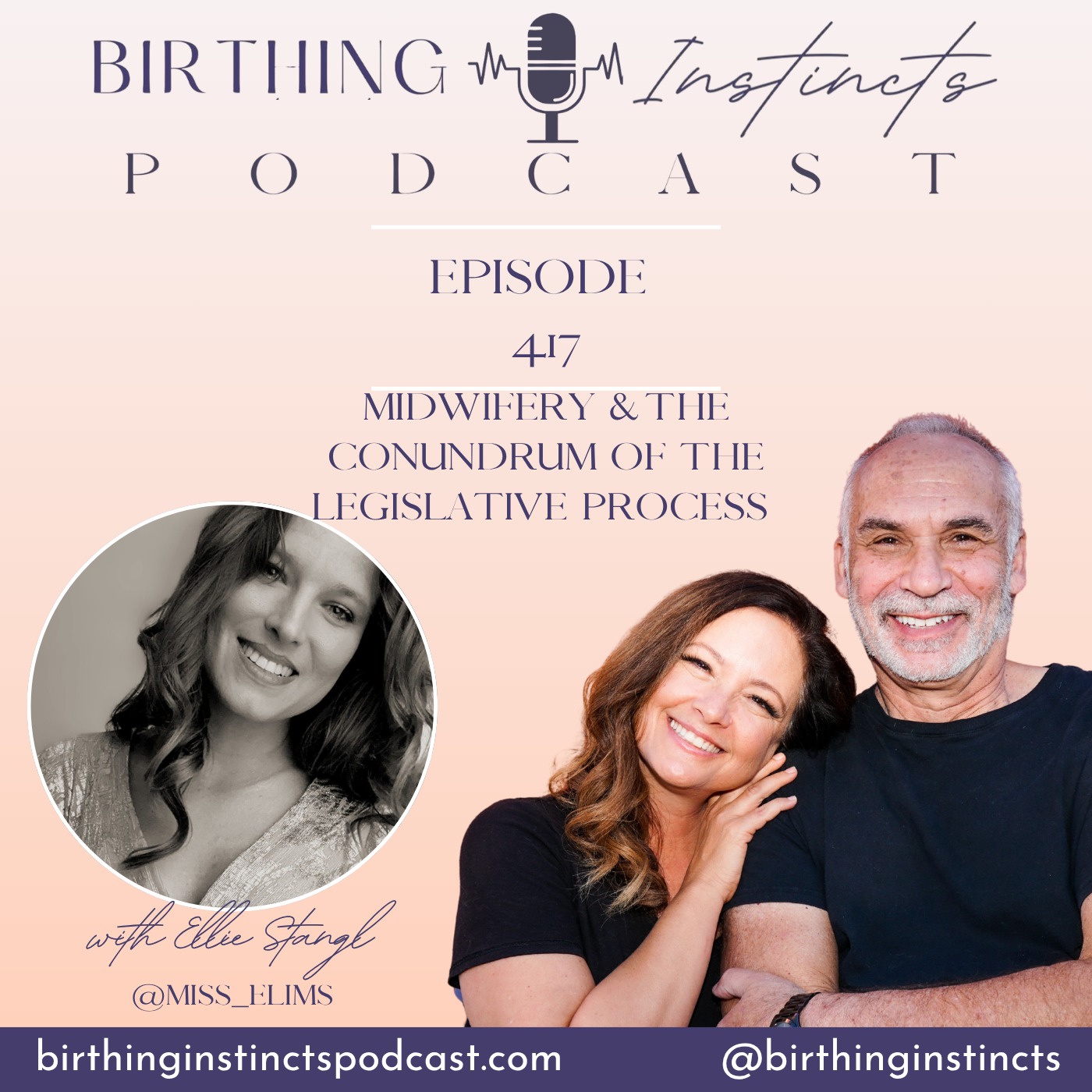 #417: Midwifery & The Conundrum Of The Legislative Process with Ellie Stangl