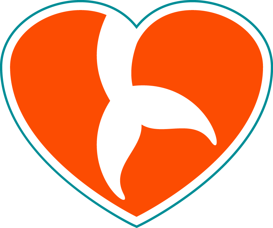 Another Dolphins Podcast