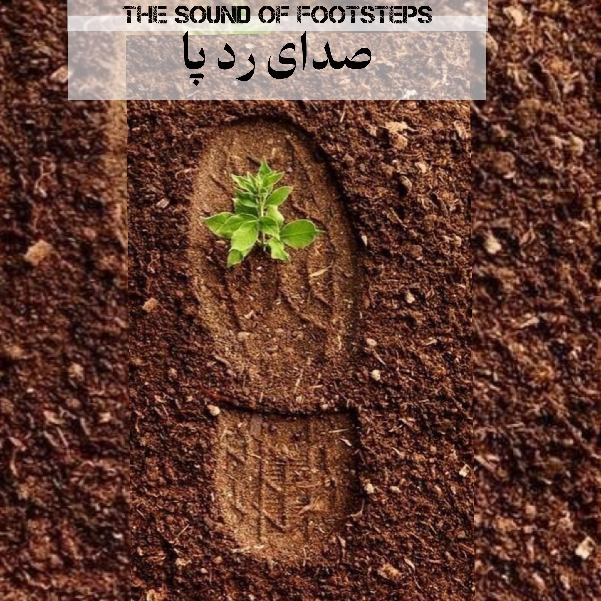 Audio Player Image