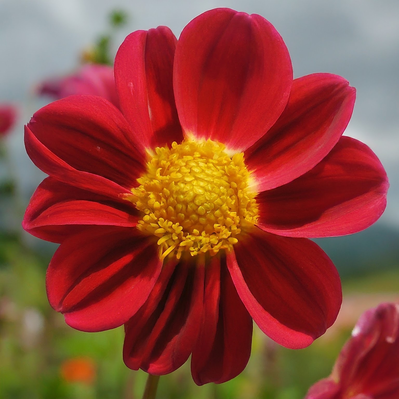 Embracing God's Love Affirmations for Strength and Peace