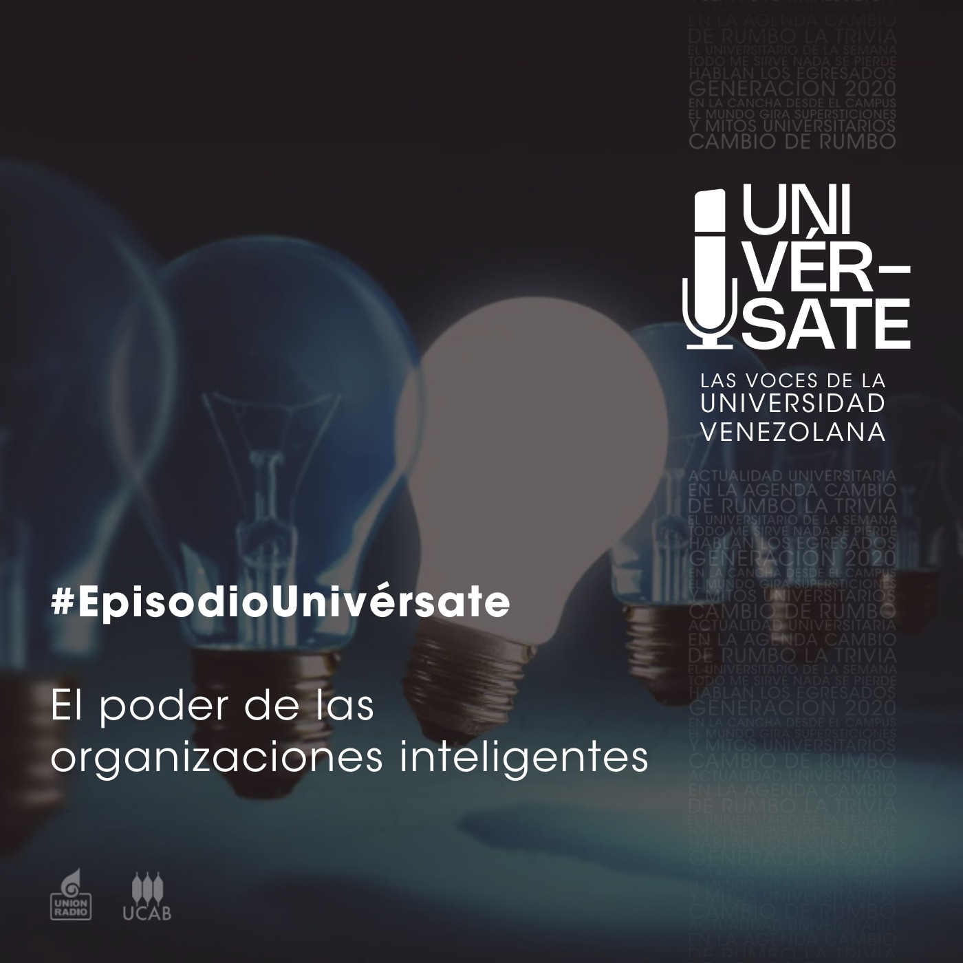 Episodio 233: El poder de las organizaciones inteligentes
