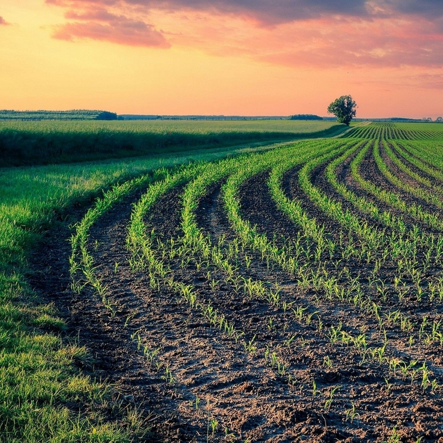 廣東話聖經故事 + 心靈片語 |  Bible Stories + Soul Whispers in Cantonese