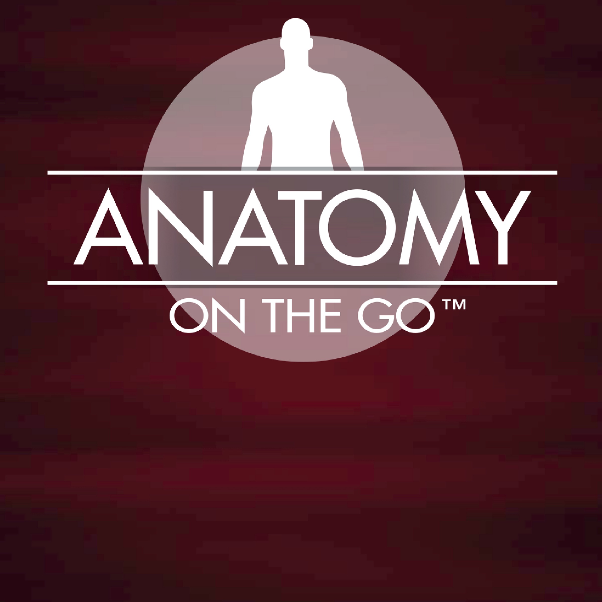 Episode 79: The Why and What For for the Upper Body Bone Structures
