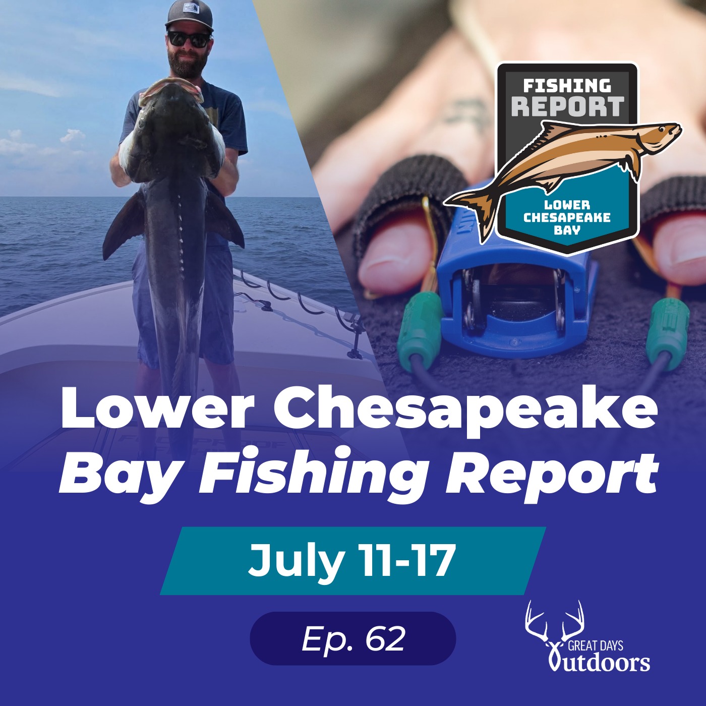 Cobia with Sharks, Bull Reds & Special Guest David Goldberg, Polygraph Expert