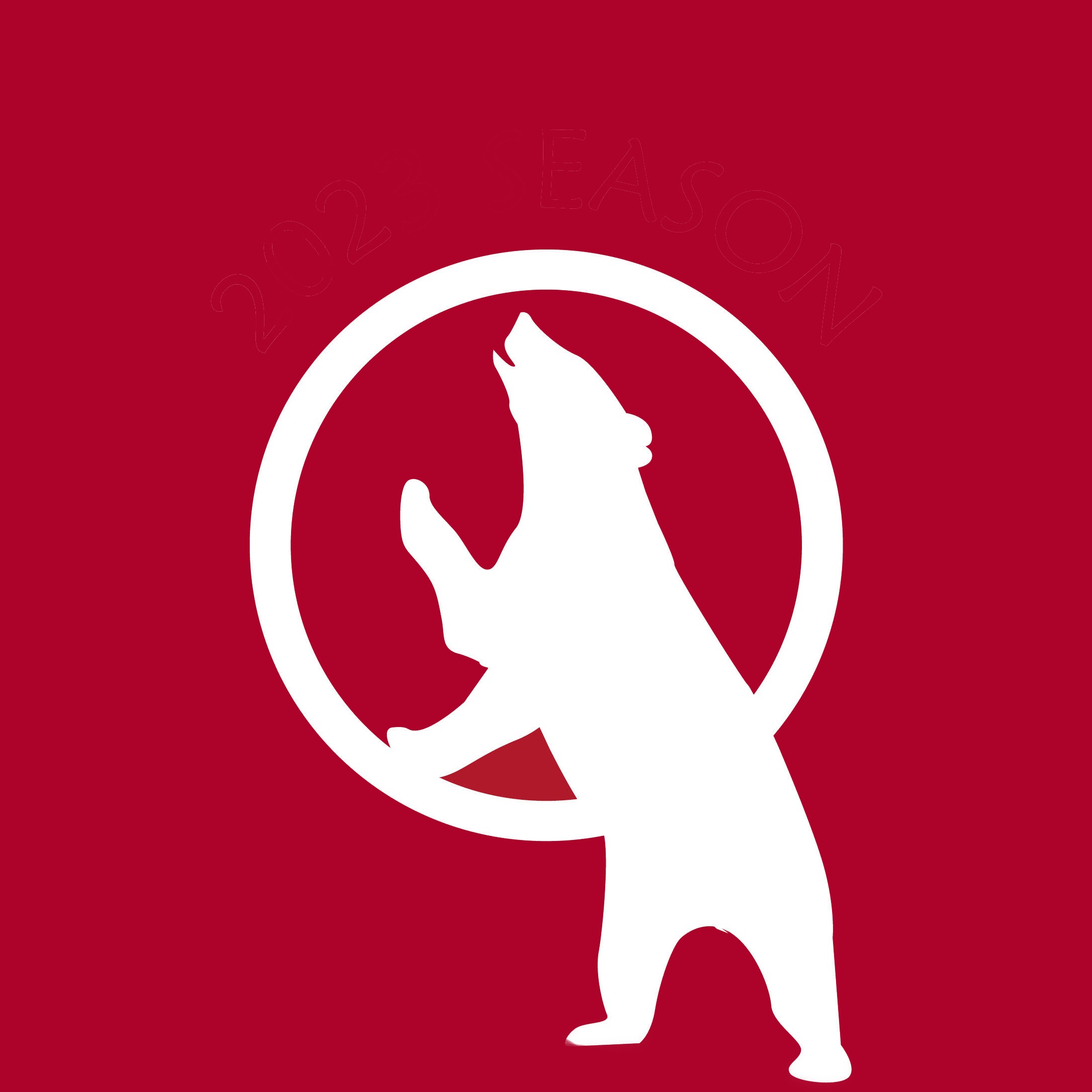 Audio Player Image