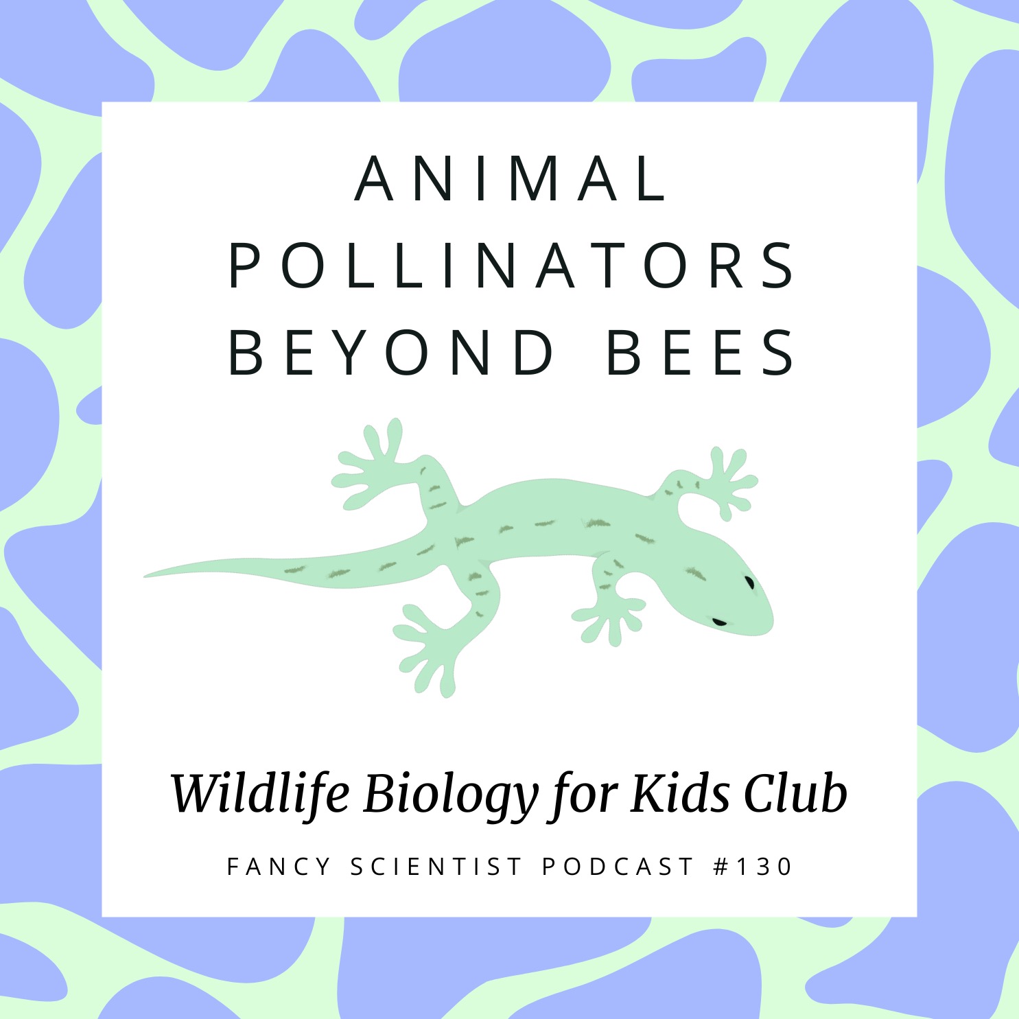 Animal Pollinators Beyond Bees | Wildlife Biology for Kids Club