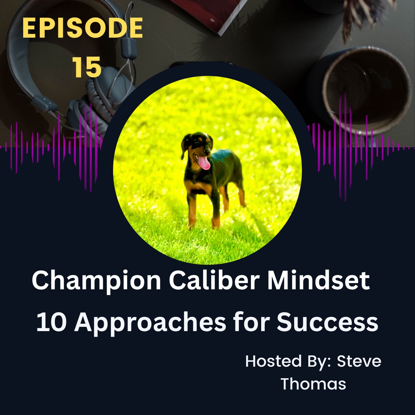 Ep. 15 10 Approaches for Champion Caliber Mindset