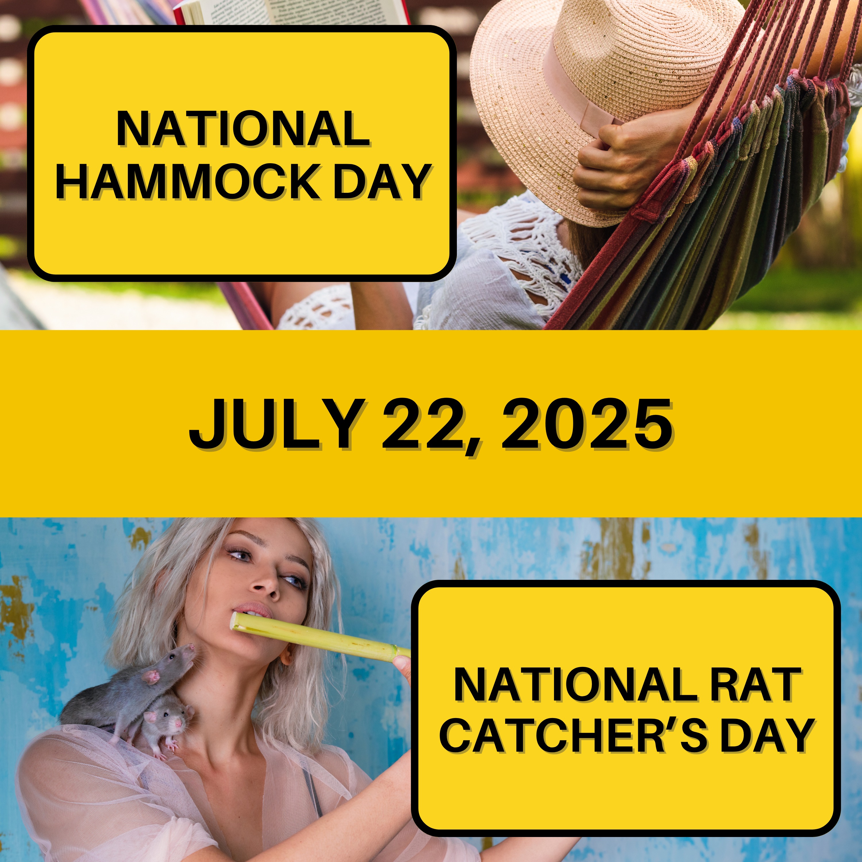 National Hammock Day & National Rat Catcher's Day