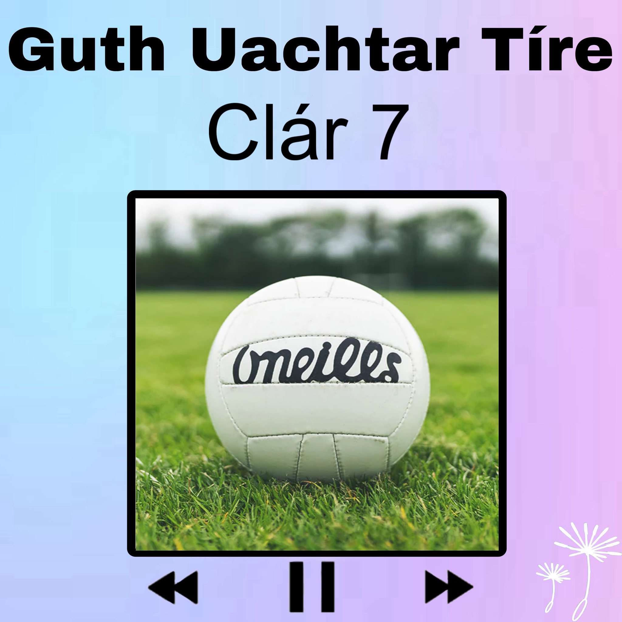 Guth Uachtar Tíre