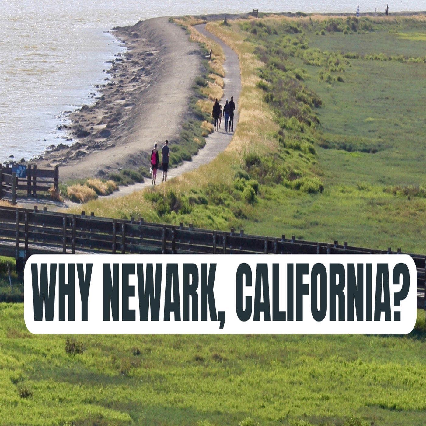Living in Newark CA — Starter Homes Near Meta, Tesla, and Stanford!