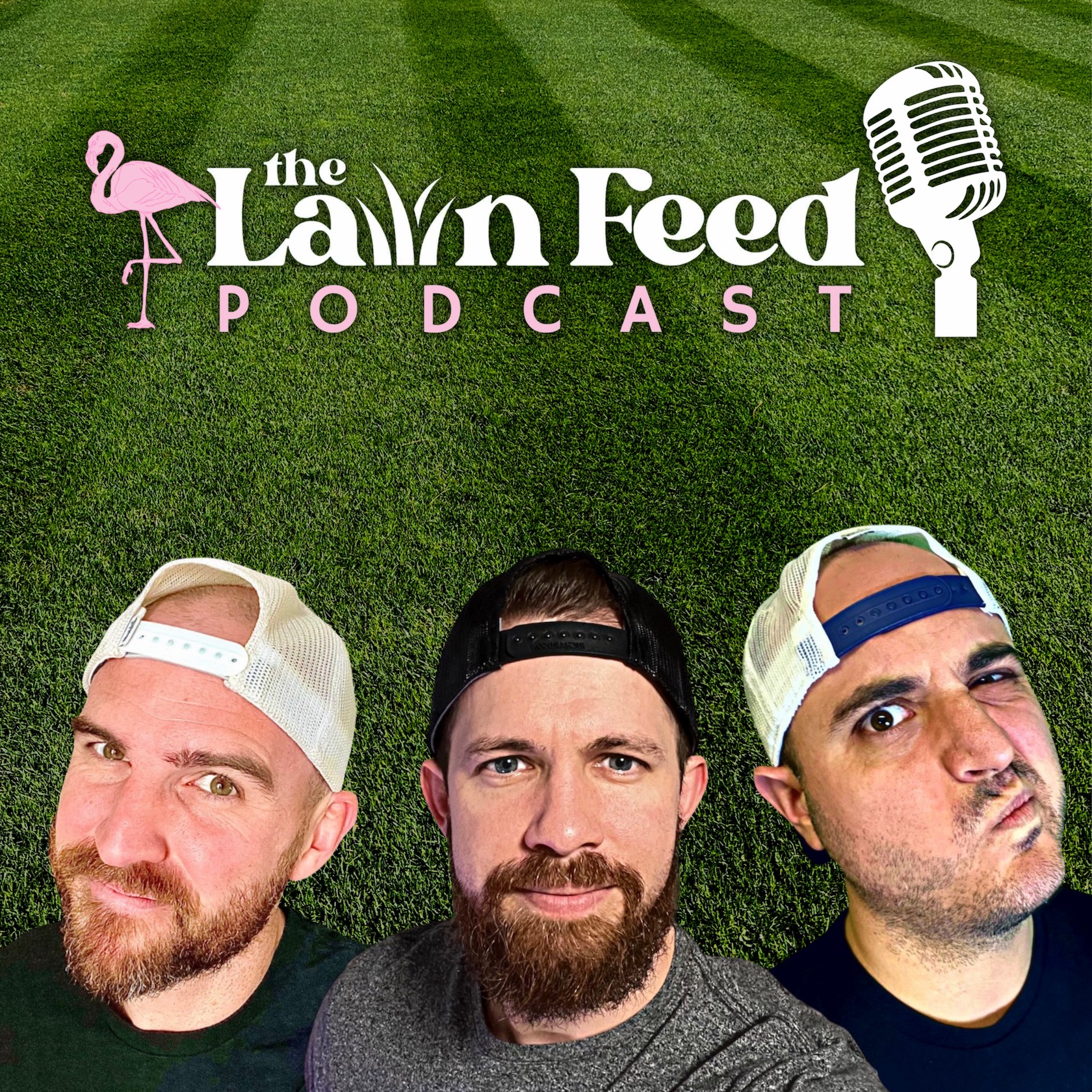 S4 E12 Grass Seed Production!