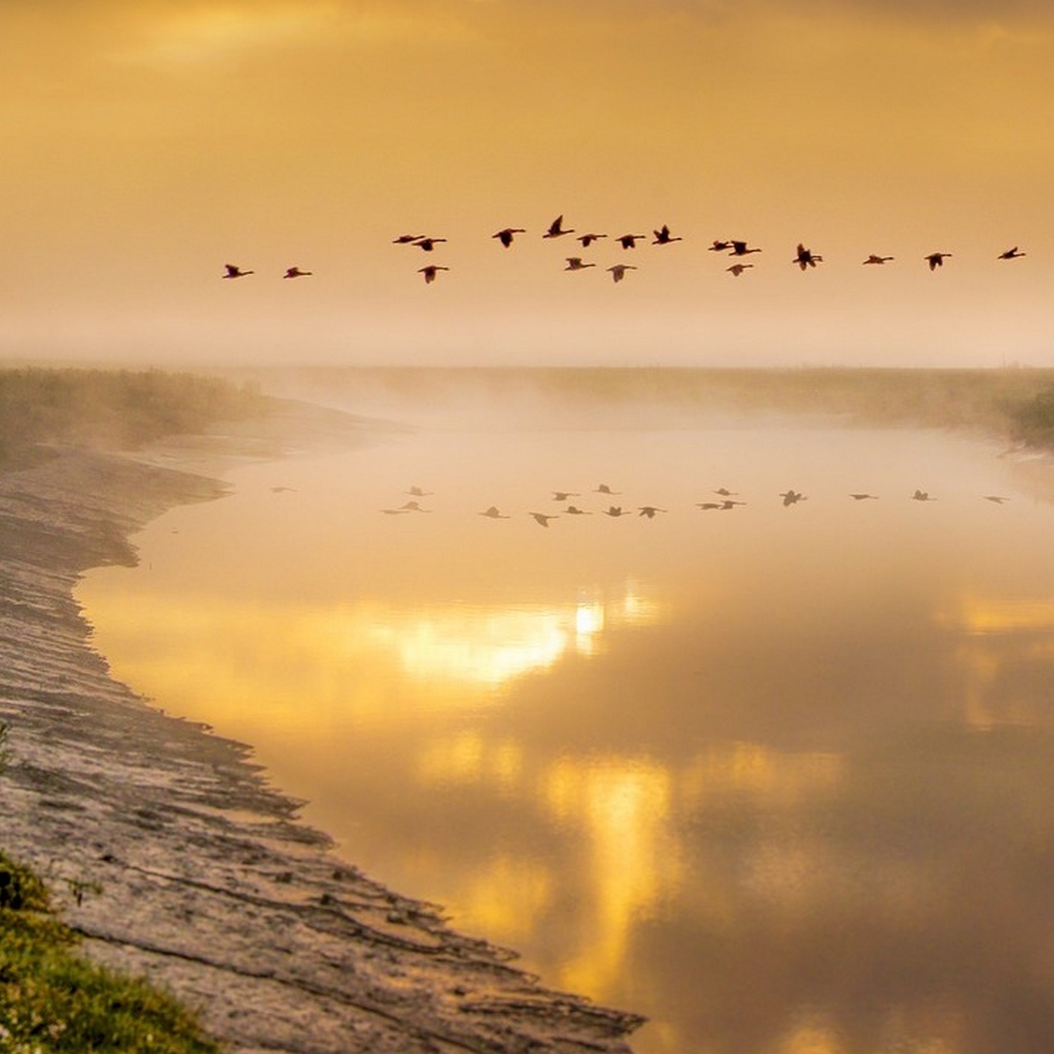 [ 1.6 廣東話聖經故事 - 耶穌受洗與聖靈降臨 ]..... 施洗約翰 | 天國近了你們應當悔改 | 蝗蟲和野蜜 | 諸般的義 | 你是我的愛子 | 我所喜悅的 | 你聽我講