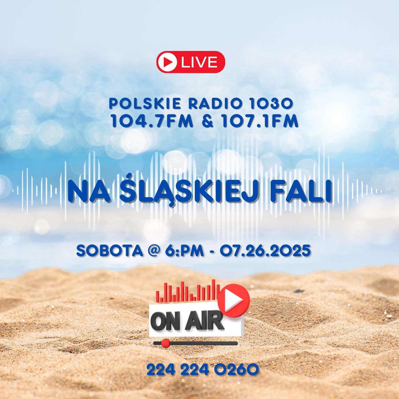 Radio Na Śląskiej Fali Chicago