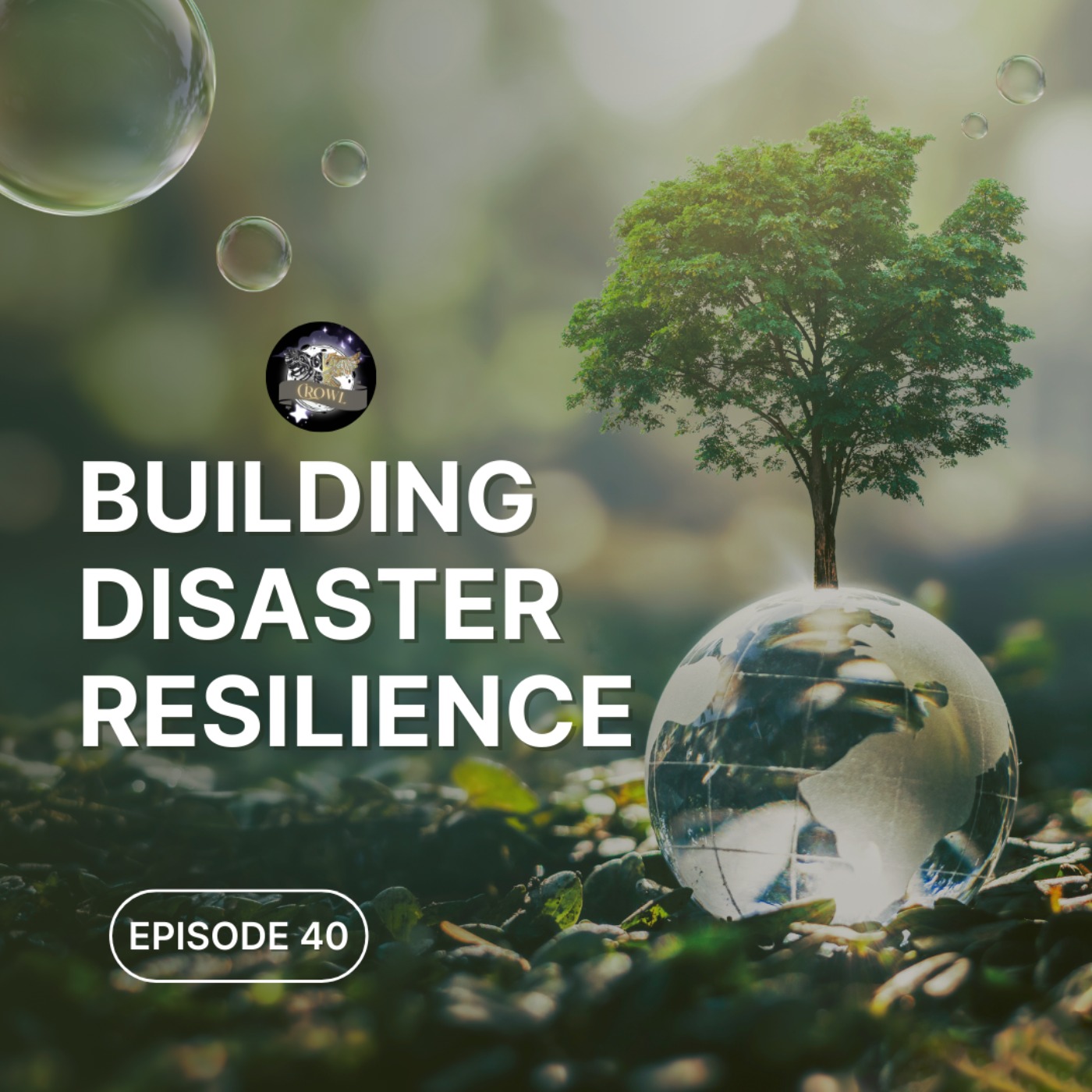 Episode 40: Building Disaster Resilience episode artwork
