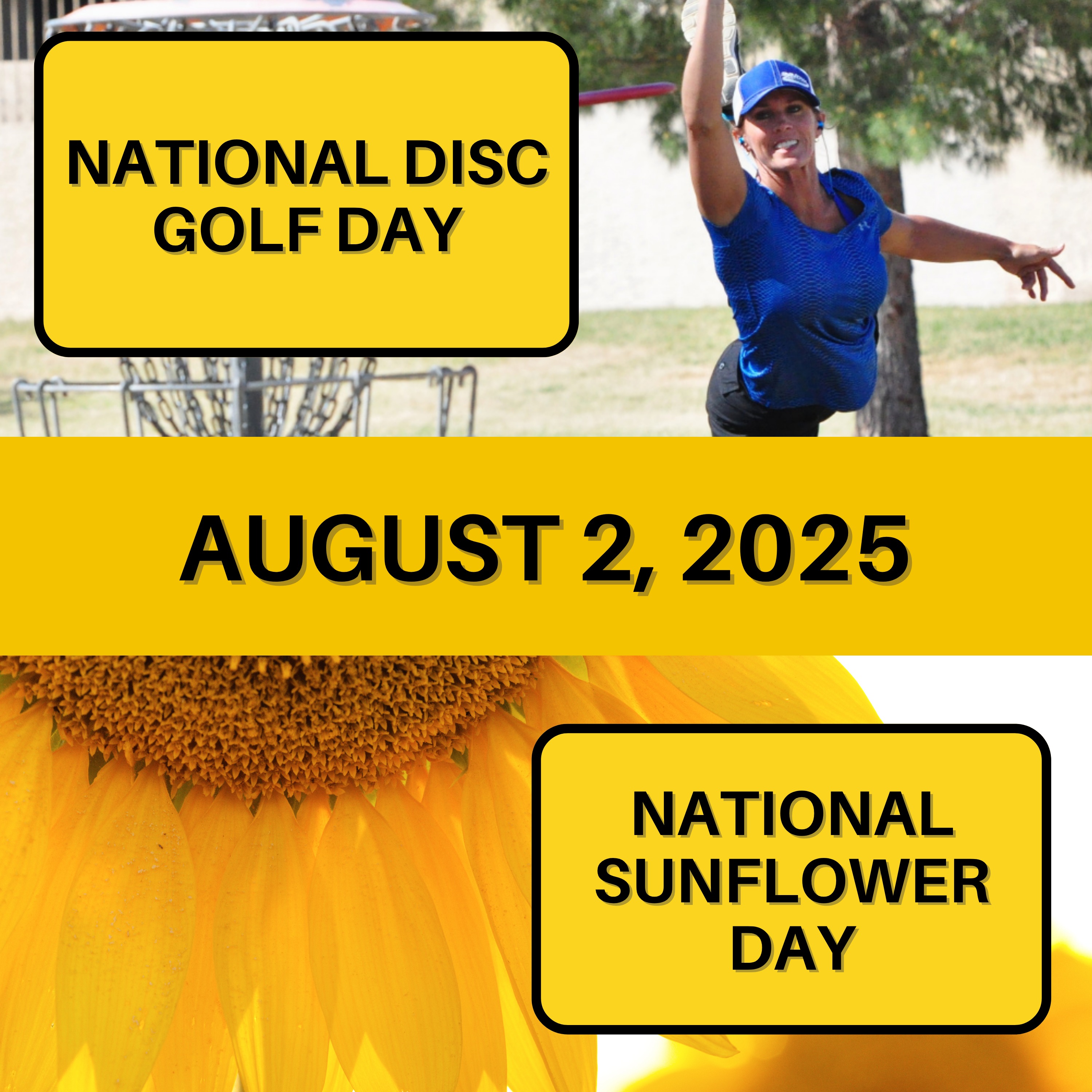 National Disc Golf Day & National Sunflower Day