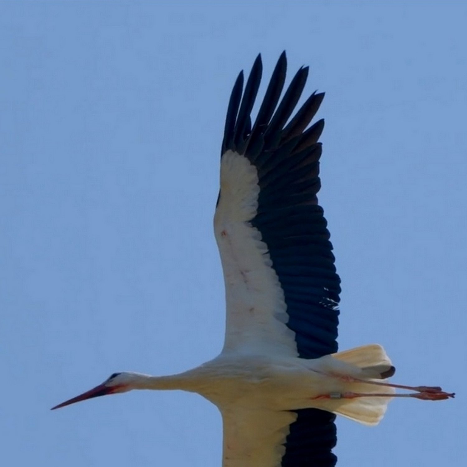 廣東話聖經故事 + 心靈片語 |  Bible Stories + Soul Whispers in Cantonese