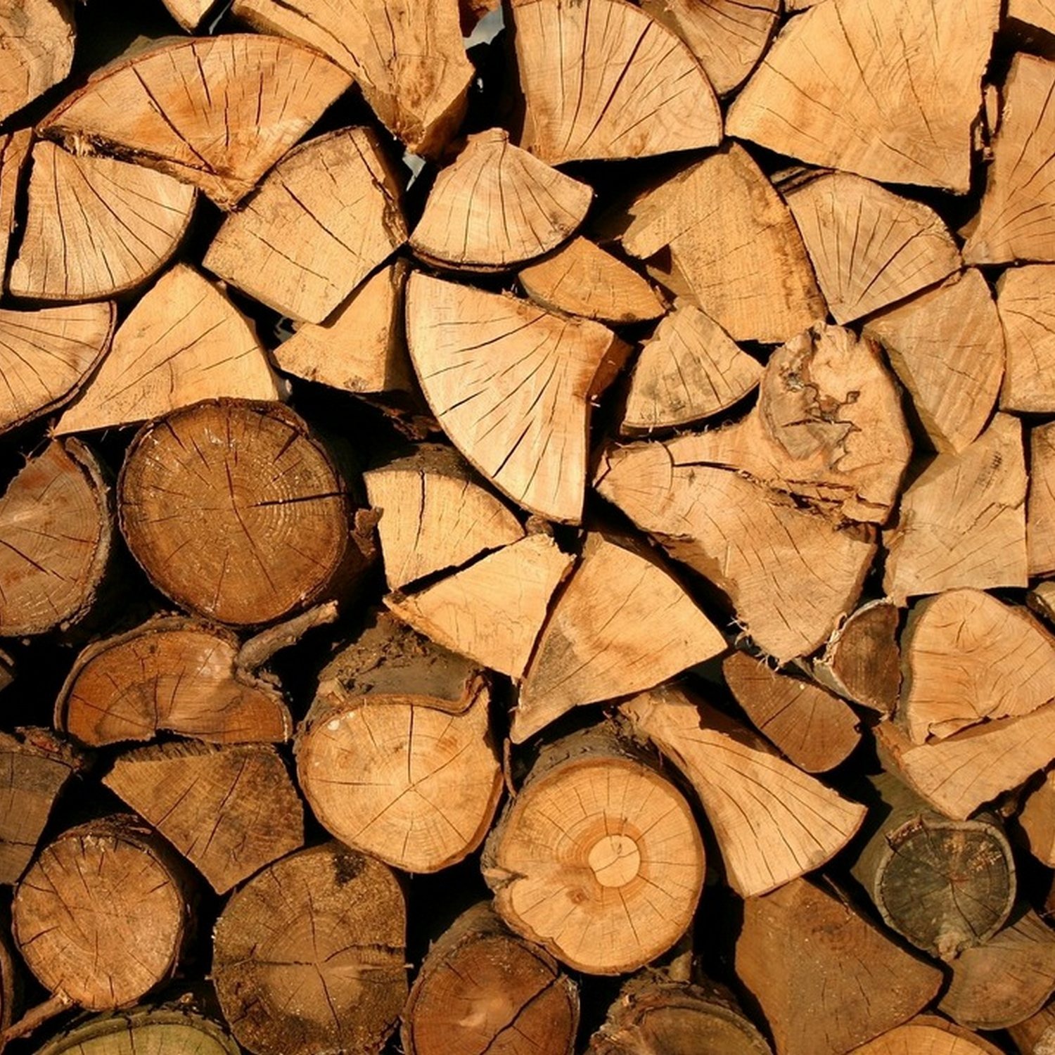 廣東話聖經故事 + 心靈片語 |  Bible Stories + Soul Whispers in Cantonese