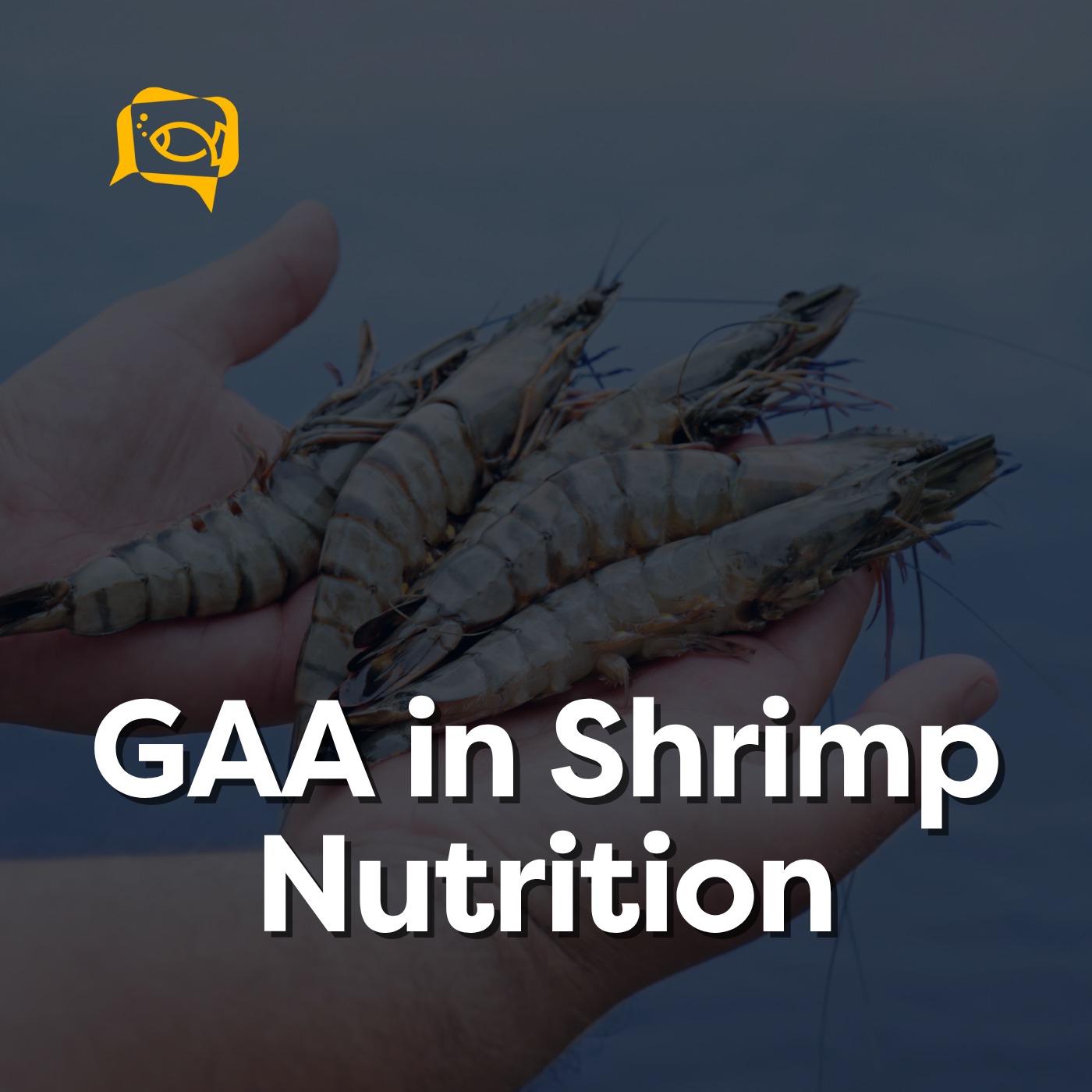 GAA in Shrimp Nutrition | Ep. 21