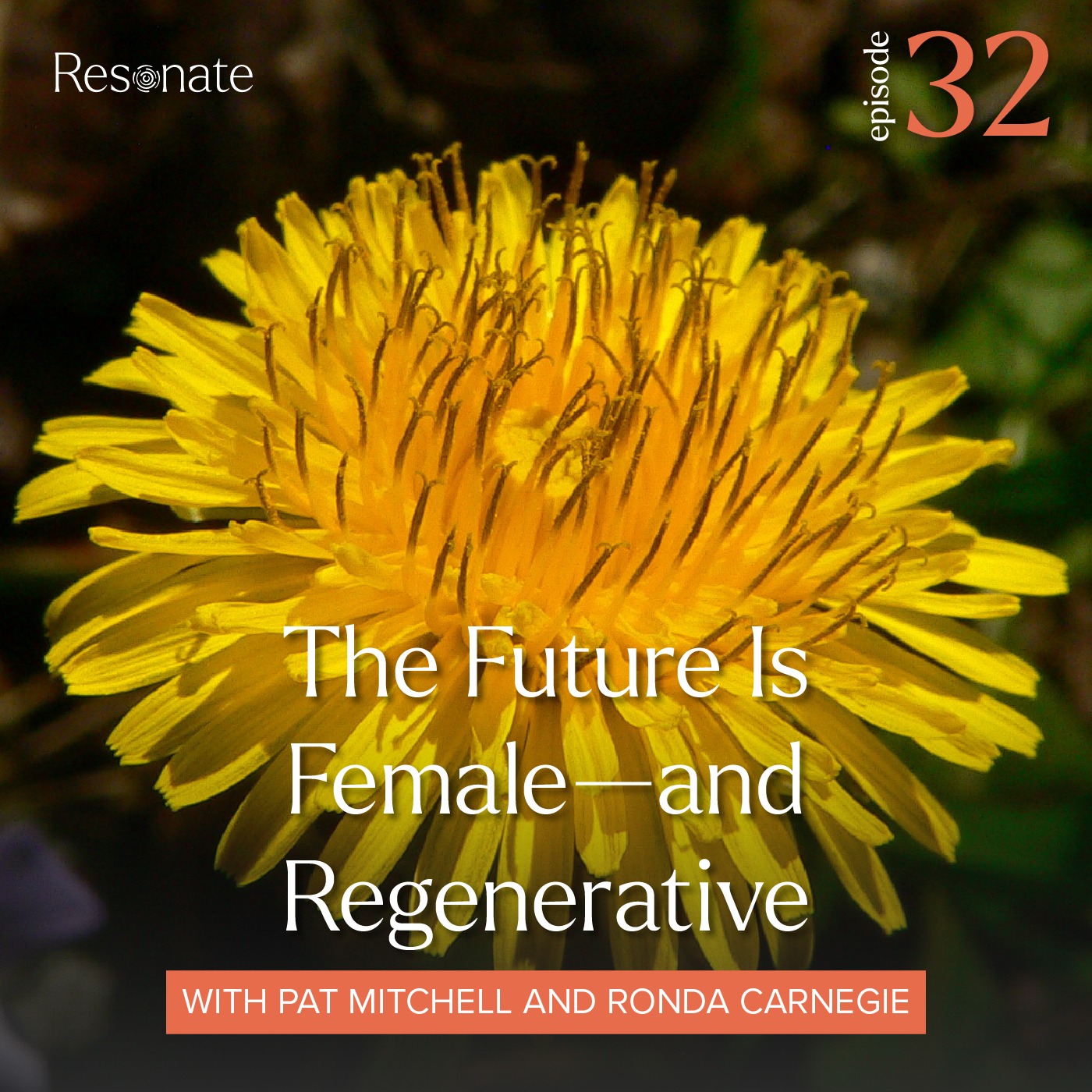 Resonate | Conversations & Life Lessons from Rancho La Puerta