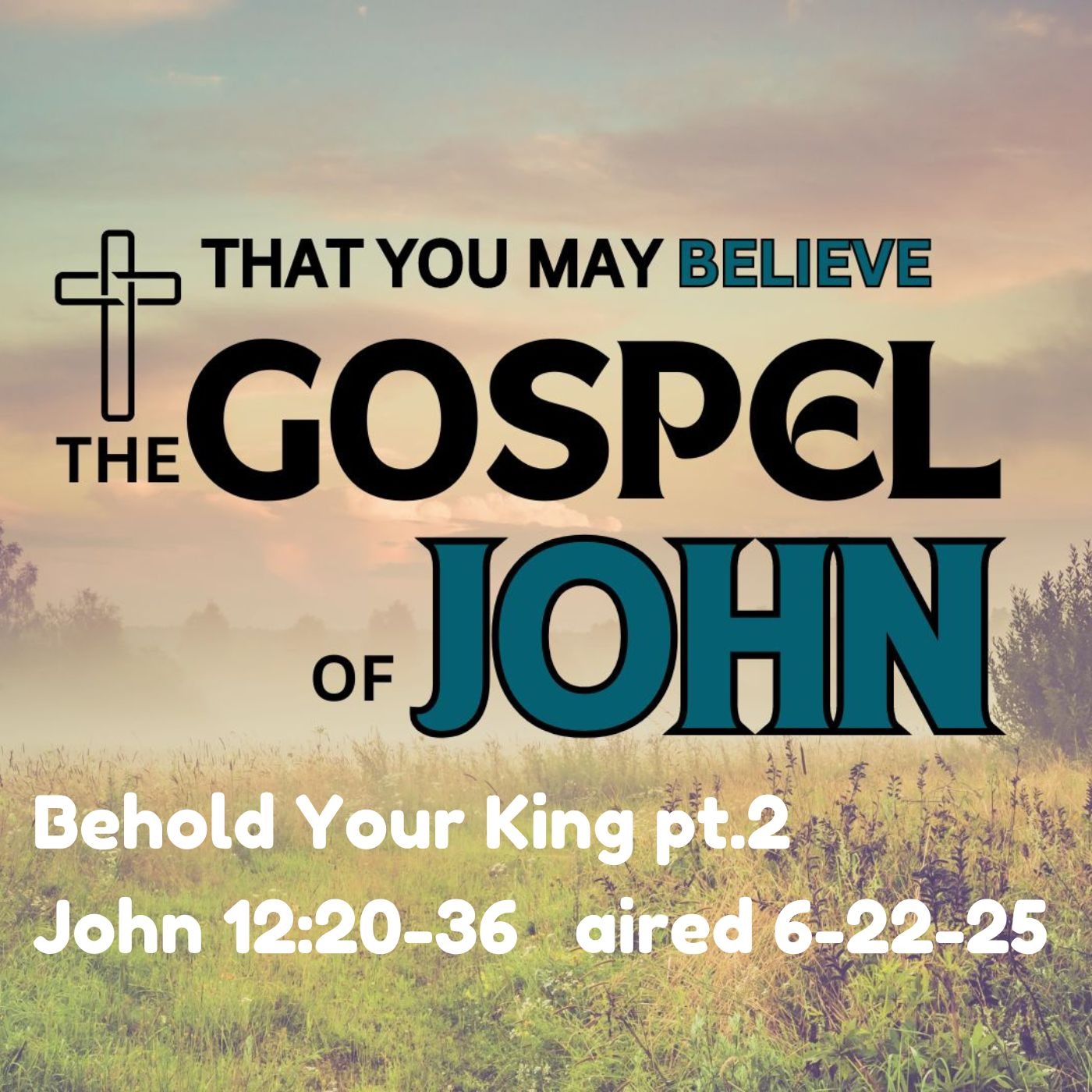 2025.06.22  Behold Your King, pt.2 - John 12:20-36 episode artwork