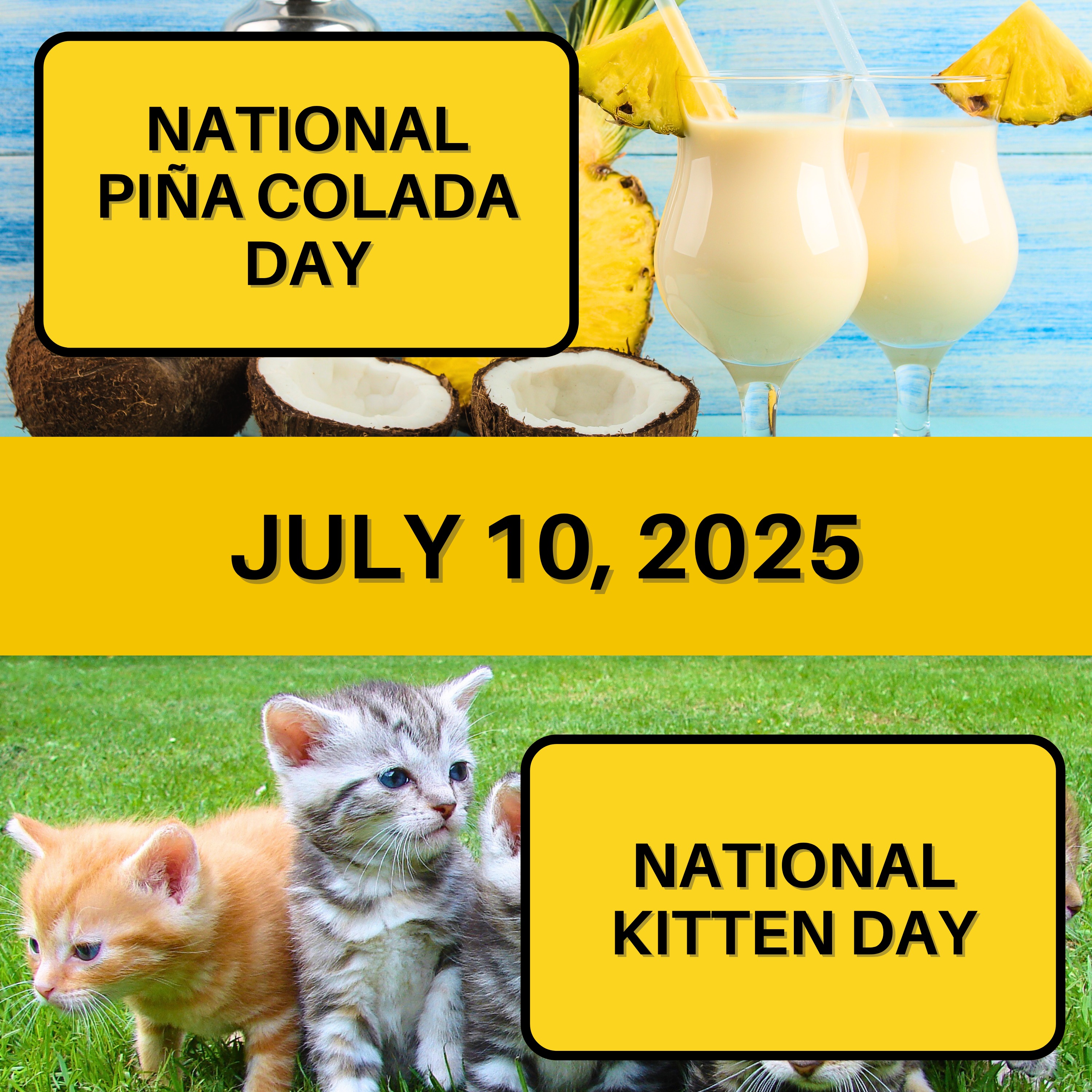 National Piña Colada Day & National Kitten Day