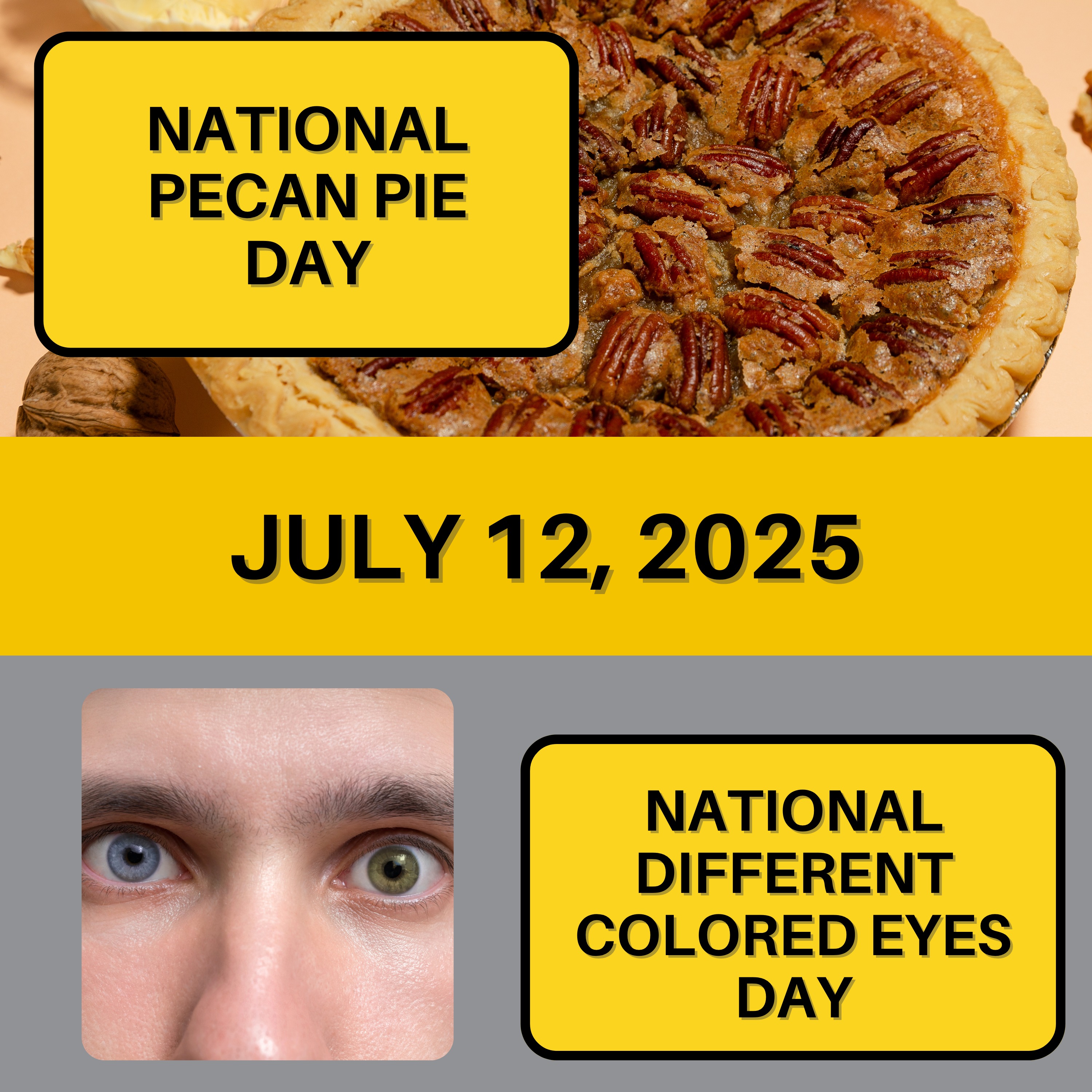 National Pecan Pie Day & Different Colored Eyes Day