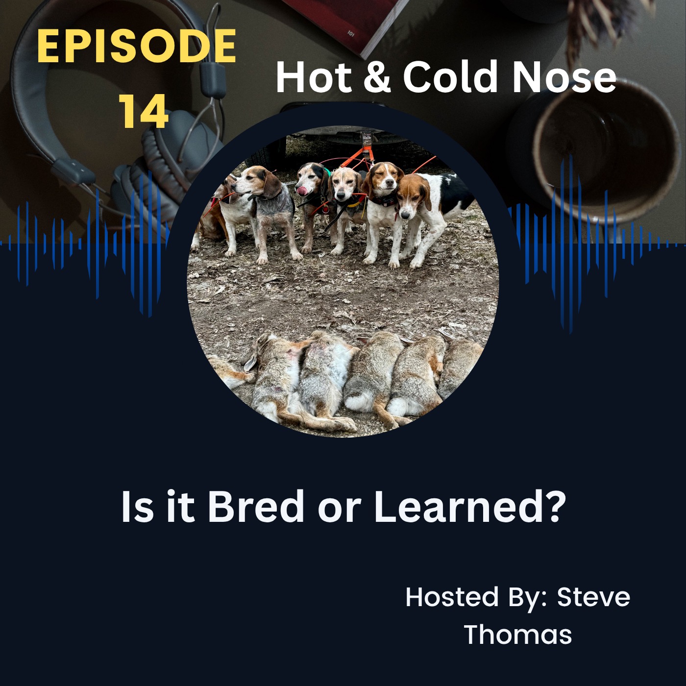 Hot & Cold Nose, Is it Bred or Learned Behavior for a Dog?
