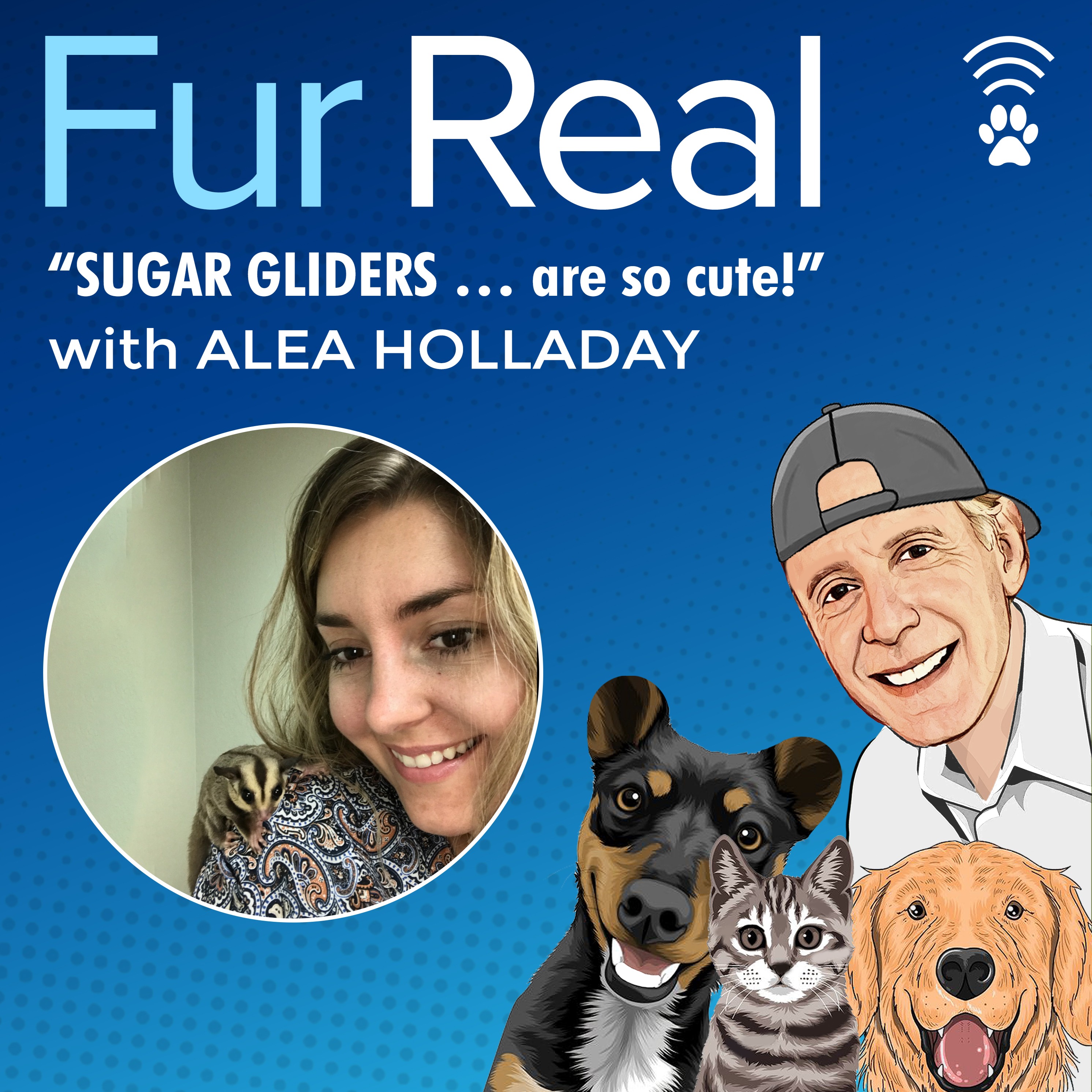 "SUGAR GLIDERS ... are so cute!" with Alea Holladay