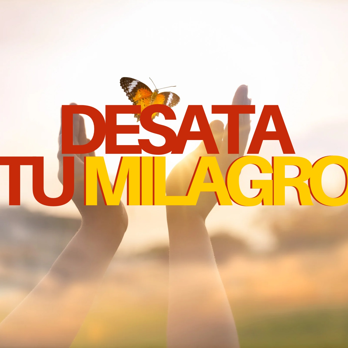 Fuente Vega Baja Podcast