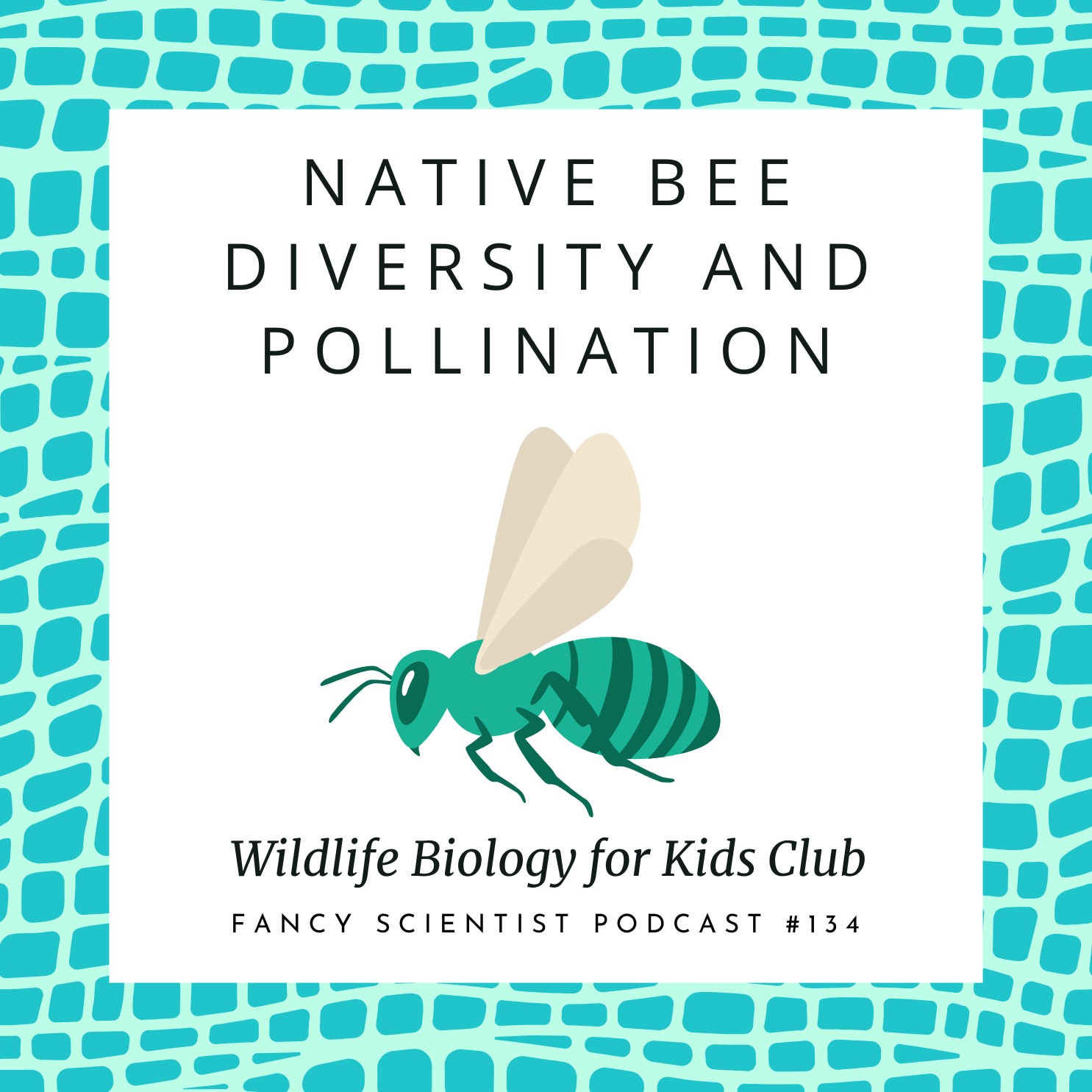 Native Bee Diversity and Pollination | Wildlife Biology for Kids Club