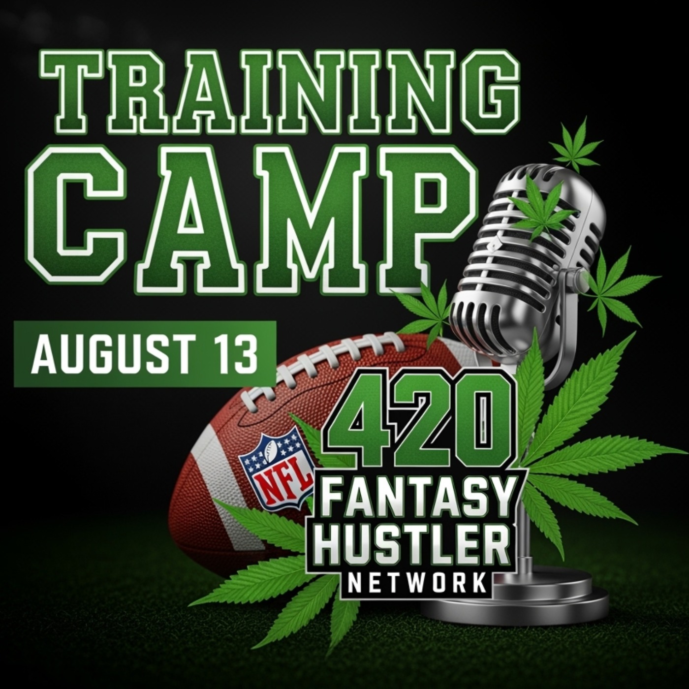 🏈 DAILY NFL TRAINING CAMP UPDATE | Fantasy Football Hustler episode artwork