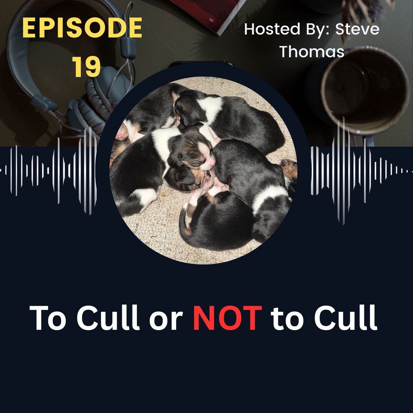 Should I Cull? Thoughts on Culling Dogs, Necessary or Not