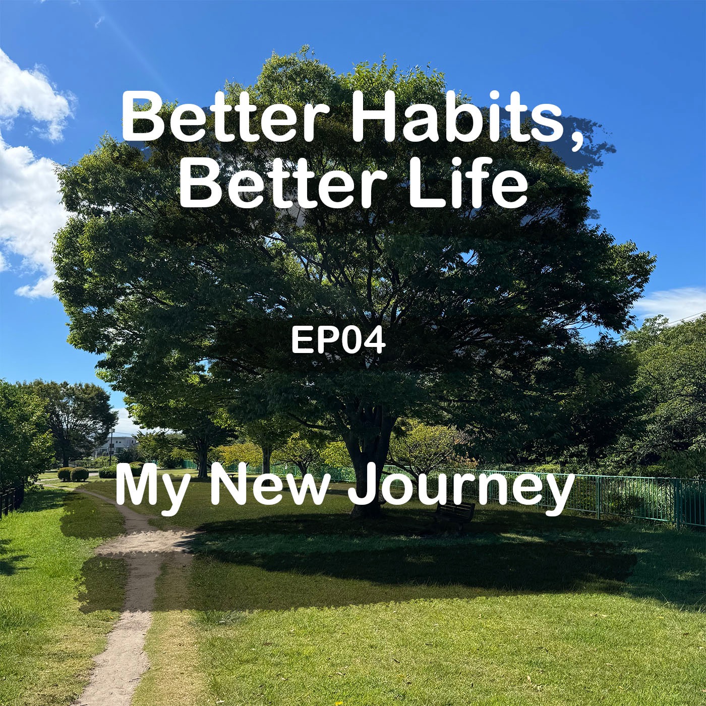 My New Journey episode artwork