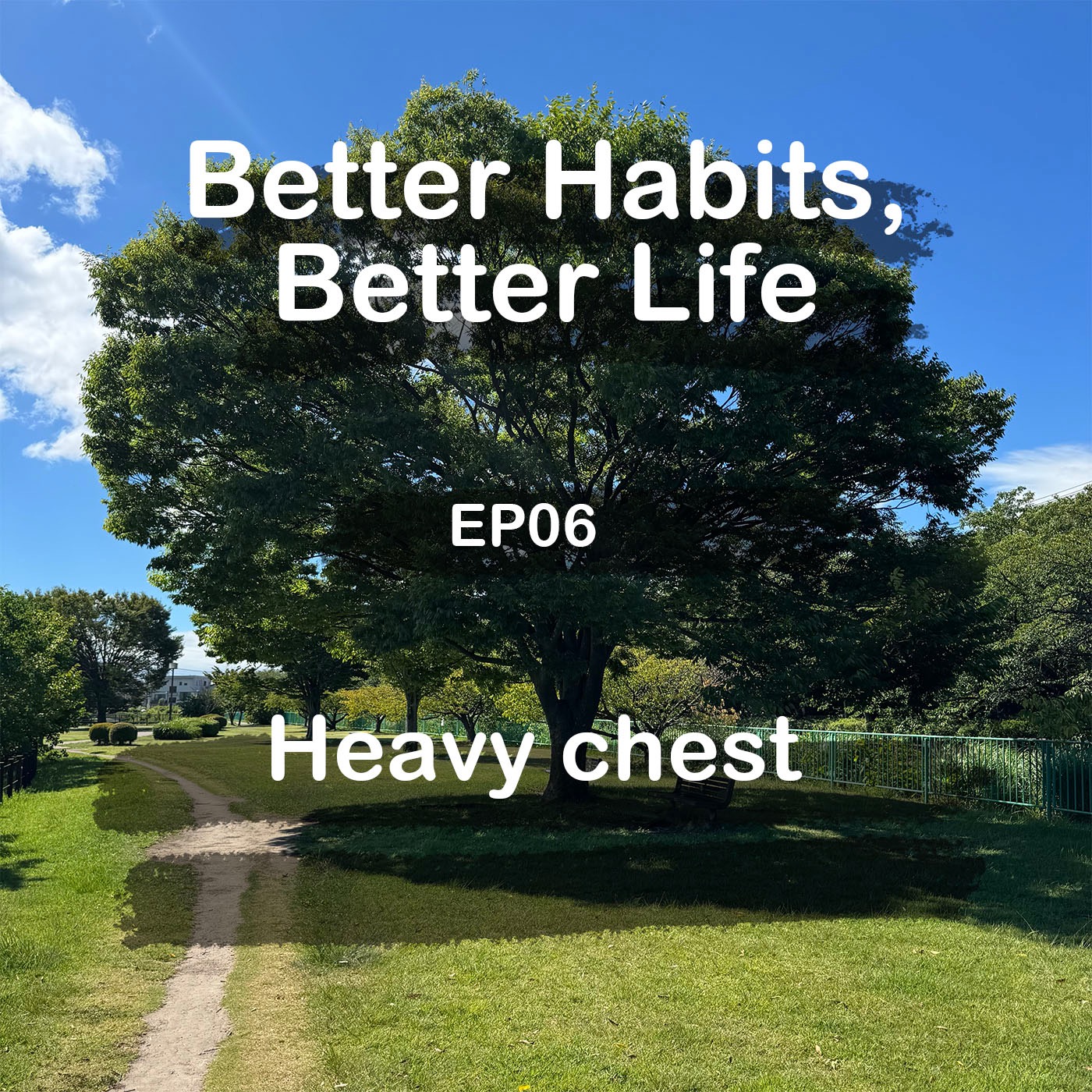 Heavy chest episode artwork