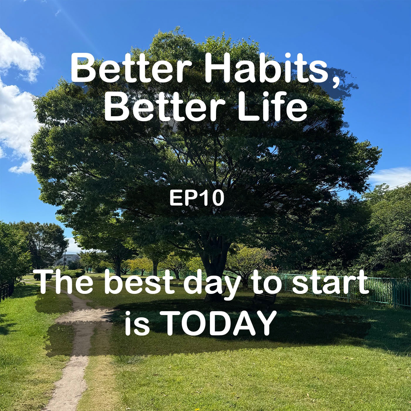 The best day to start is TODAY episode artwork