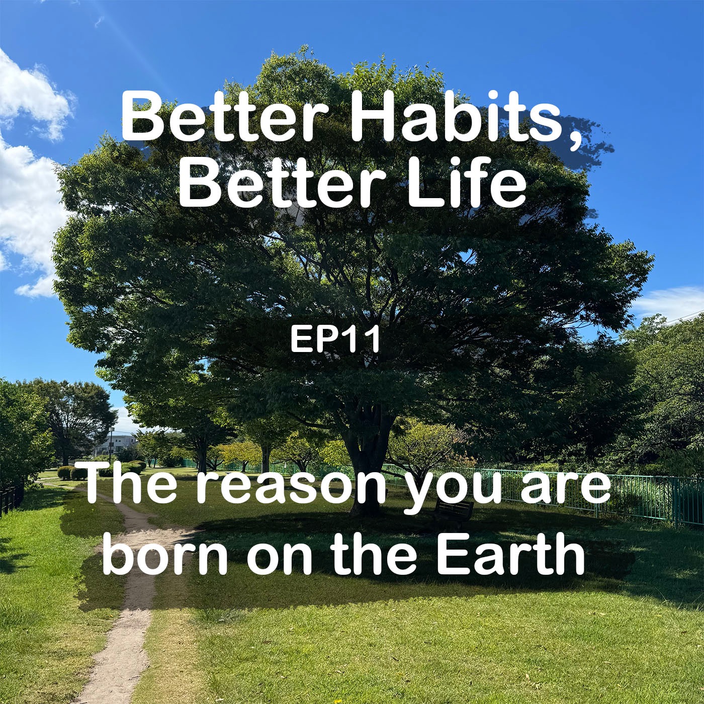 The reason you are born on the Earth episode artwork