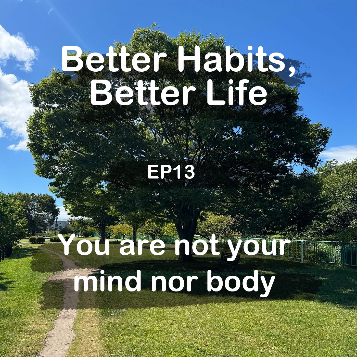 You are not your mind nor body episode artwork