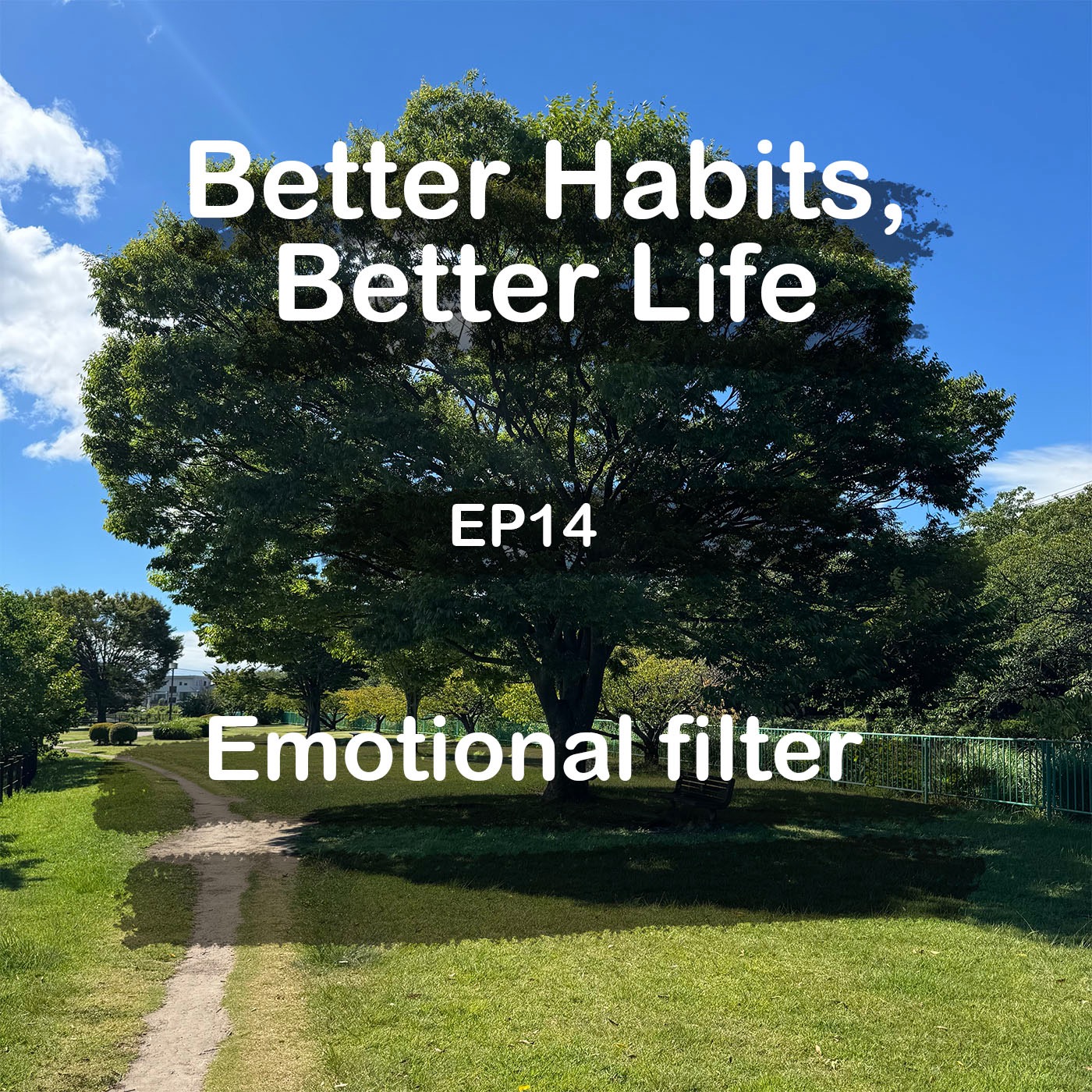 Emotional filter episode artwork