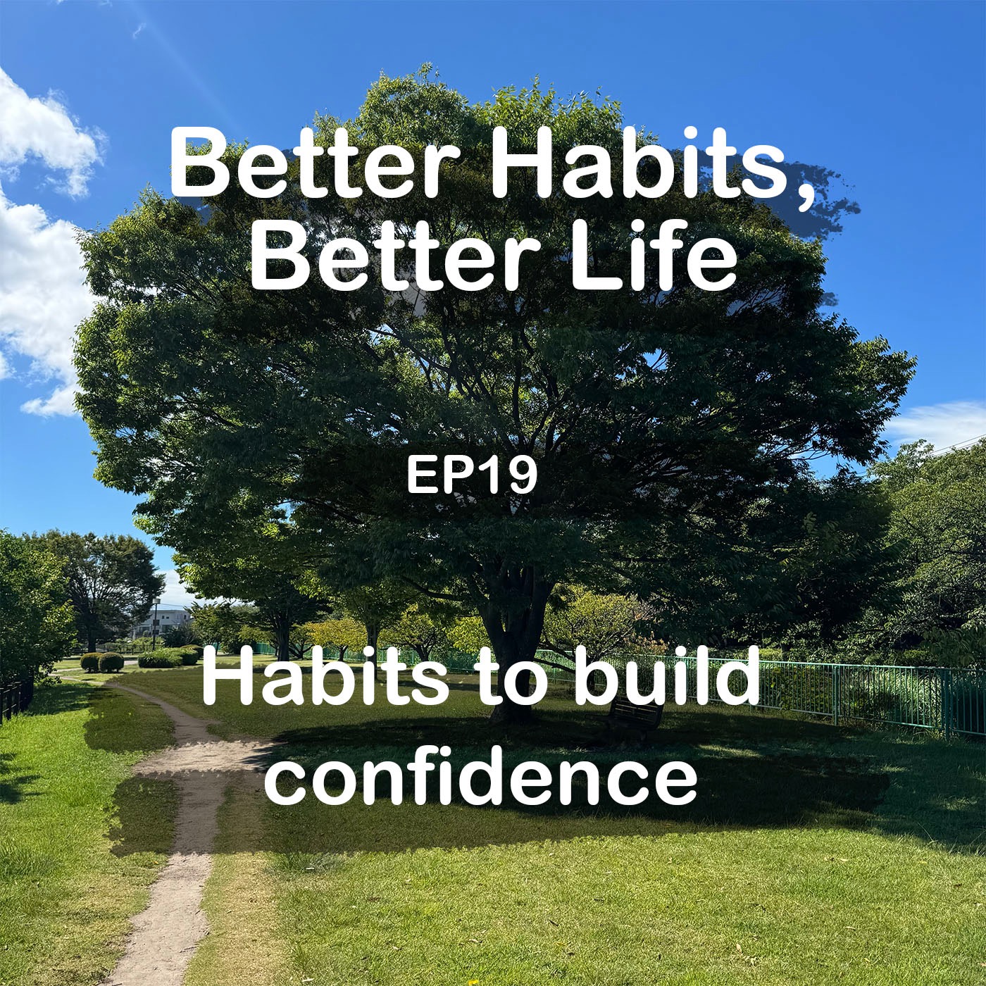 Habits to build confidence episode artwork