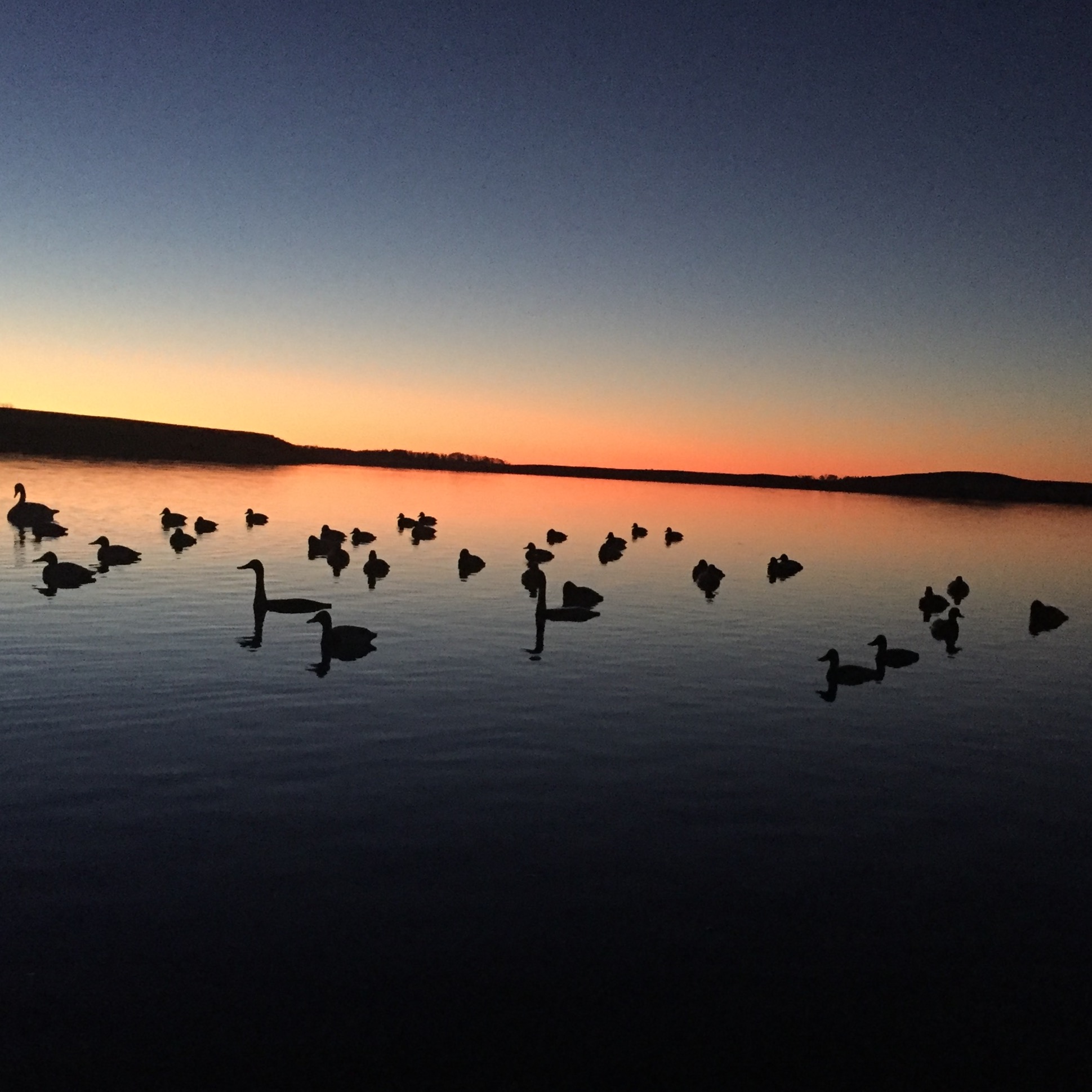 FlatLander Fit Podcast