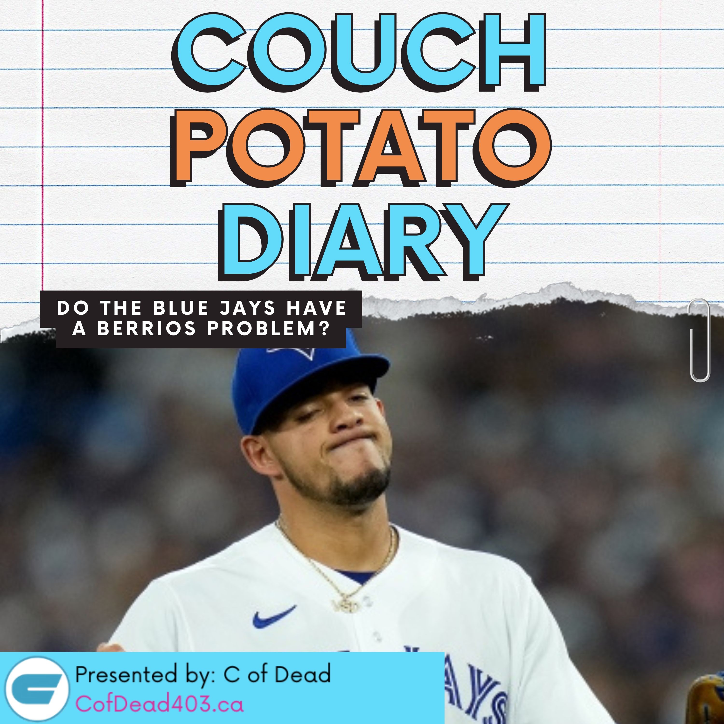 Couch Potato Diary