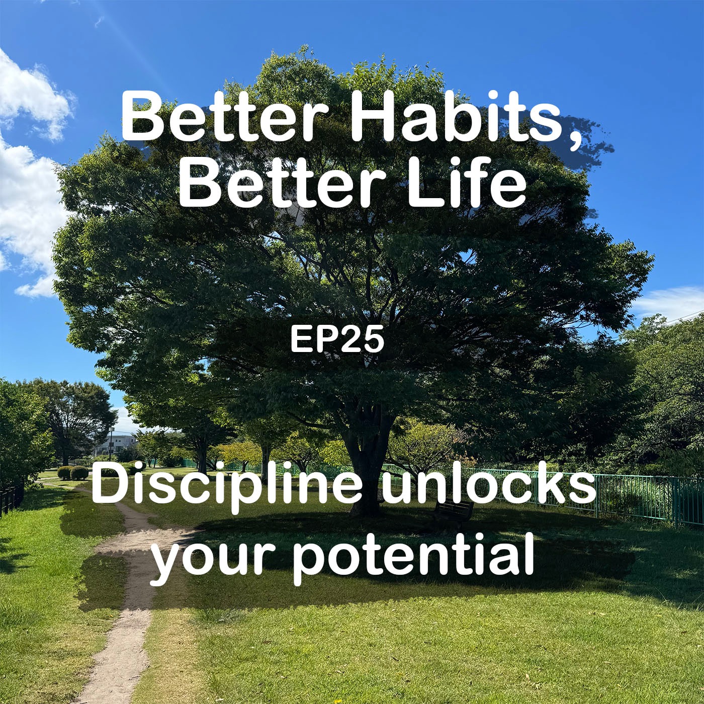 Discipline unlocks your potential episode artwork