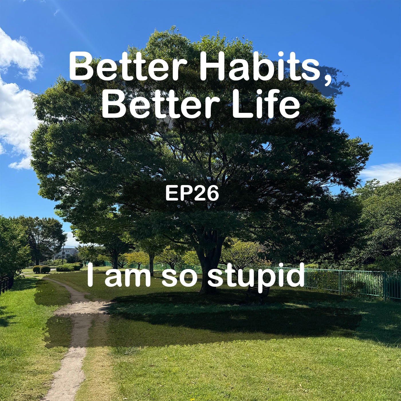 I am stupid episode artwork