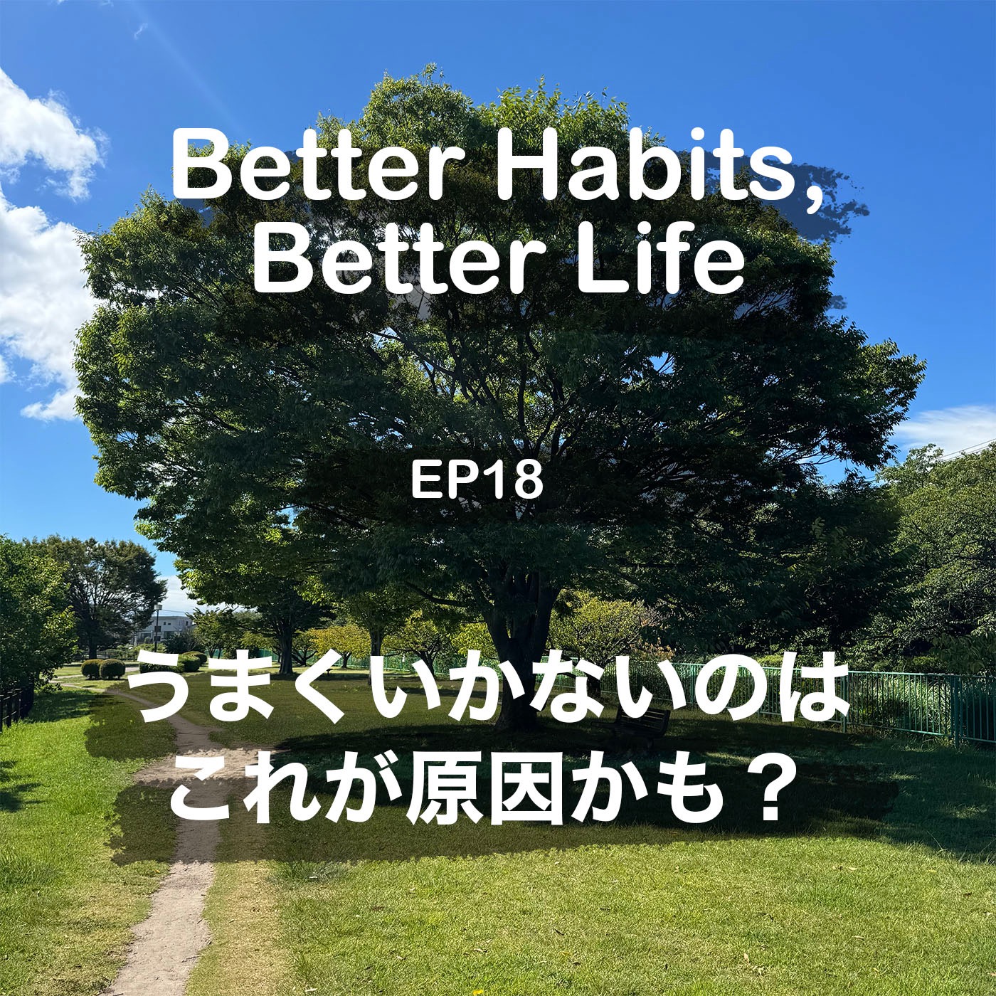 うまくいかないのはこれが原因かも？ episode artwork
