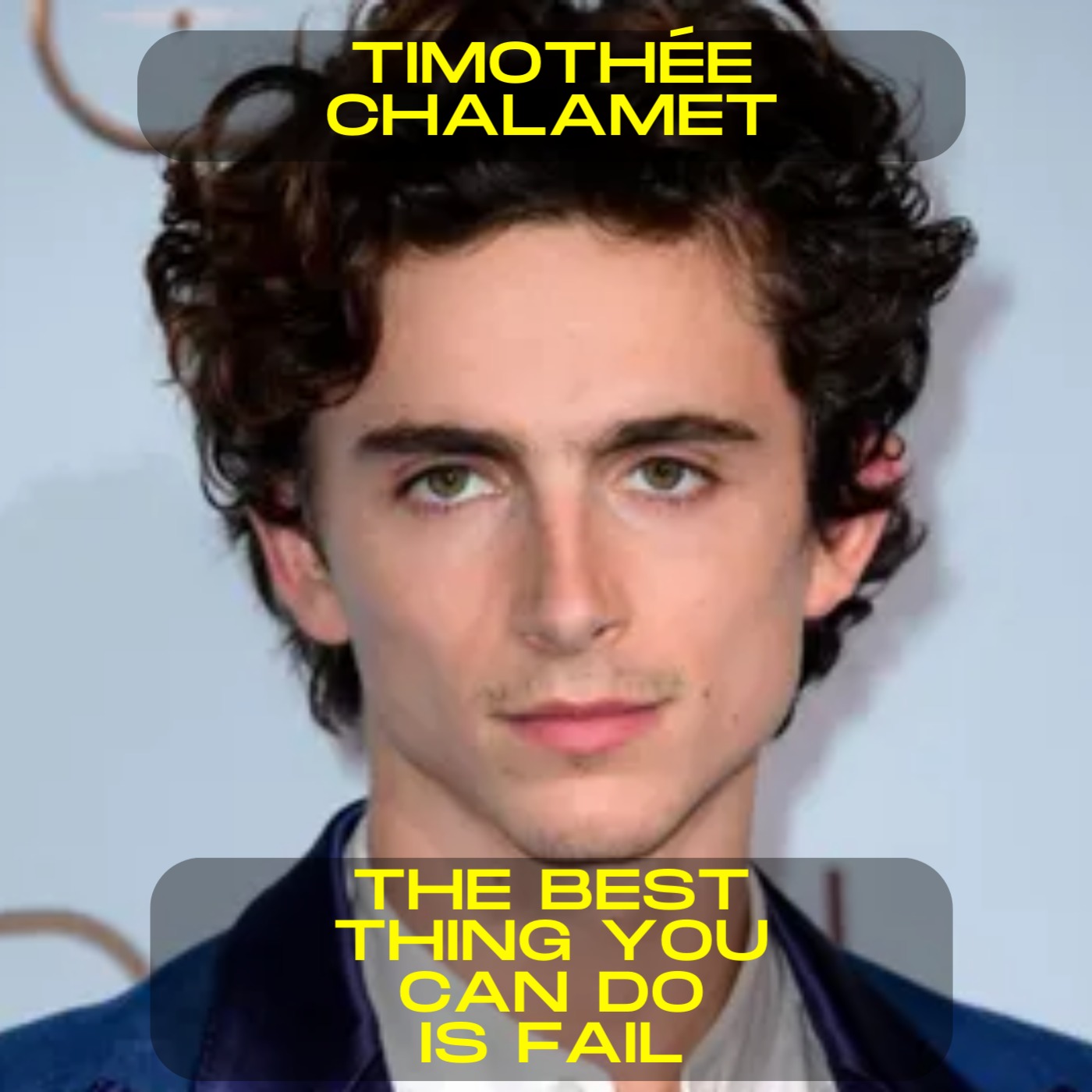 Timothée Chalamet - The best thing you can do is fail motivational speech
