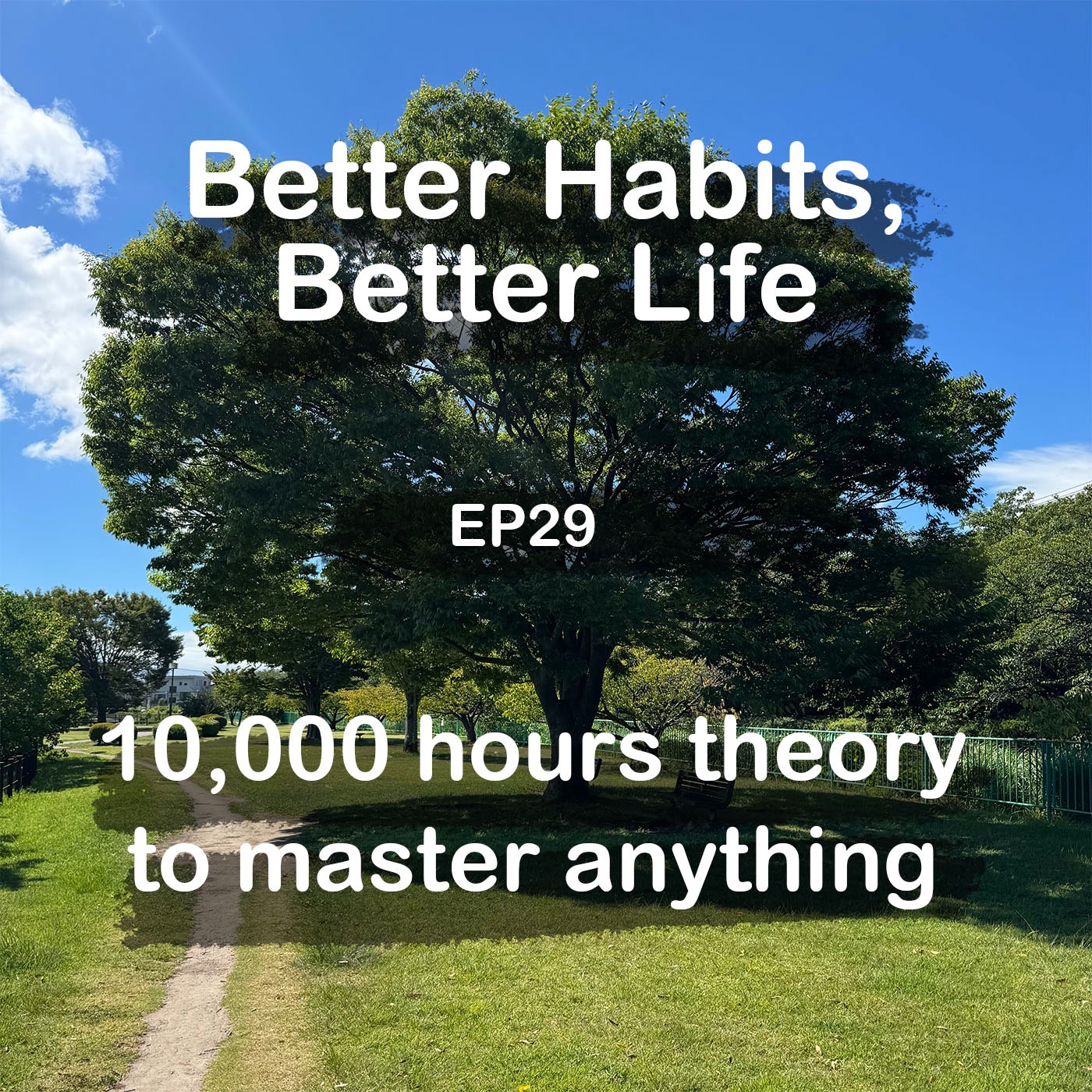 10,000 hours theory - you can master anything episode artwork